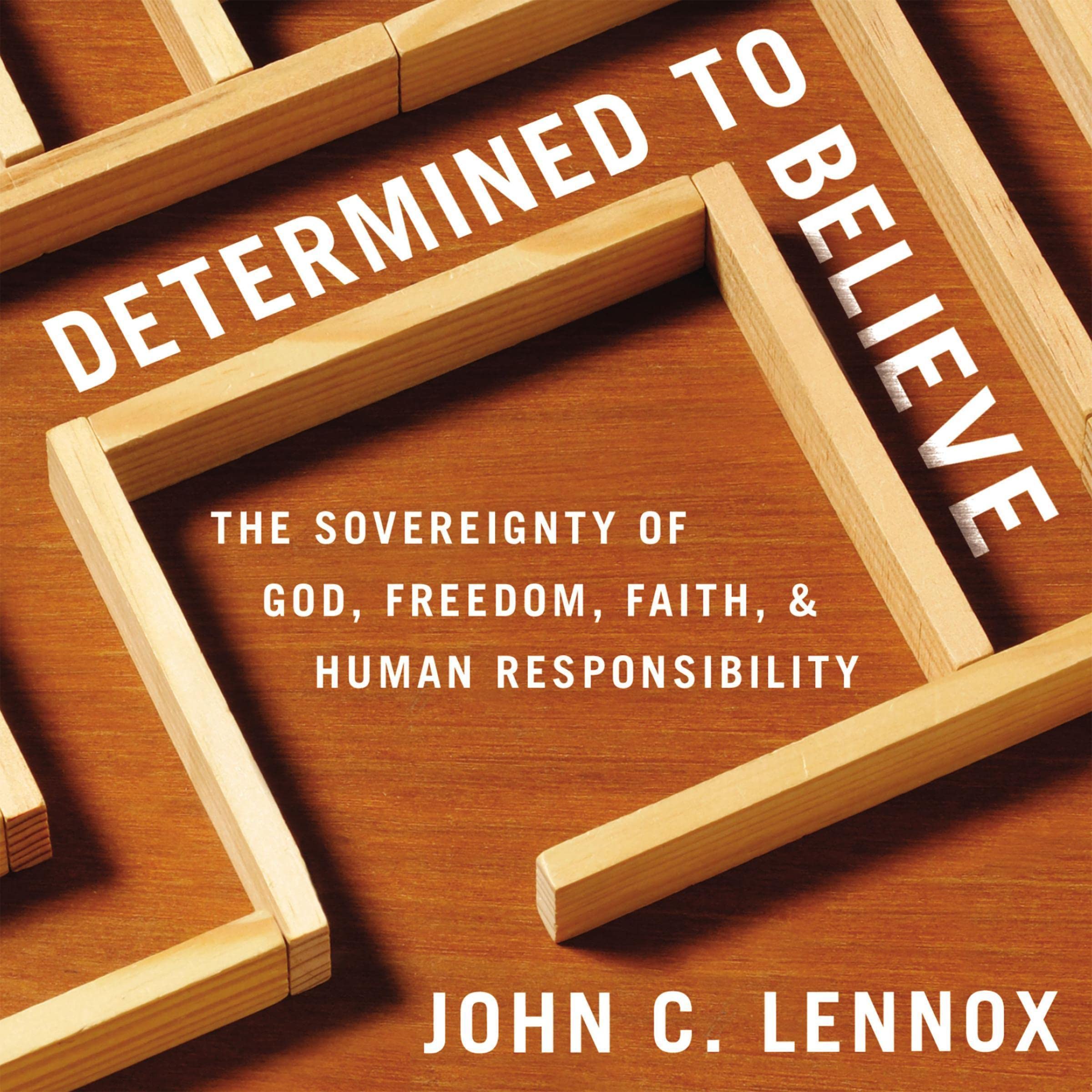 Cover art for Determined to Believe?