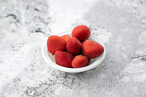 Miniatura 7 de [Paquete de 125] Cuenco de plástico desechable de alto impacto de 6 onzas, ideal para preparación de comidas, vajilla, servir, servicio de