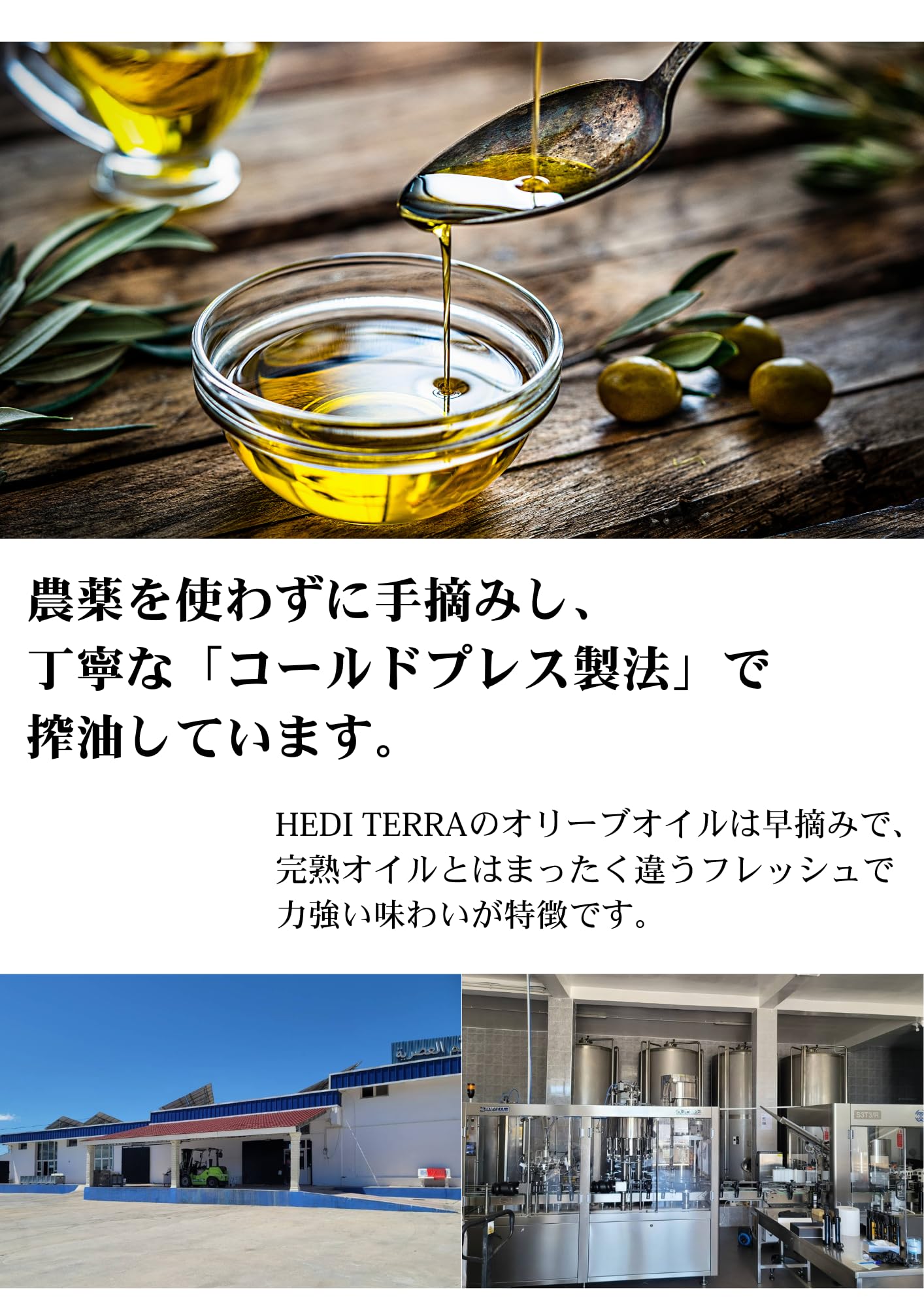 Amazon | HEDI TERRA プレミアムエキストラバージンオリーブオイル