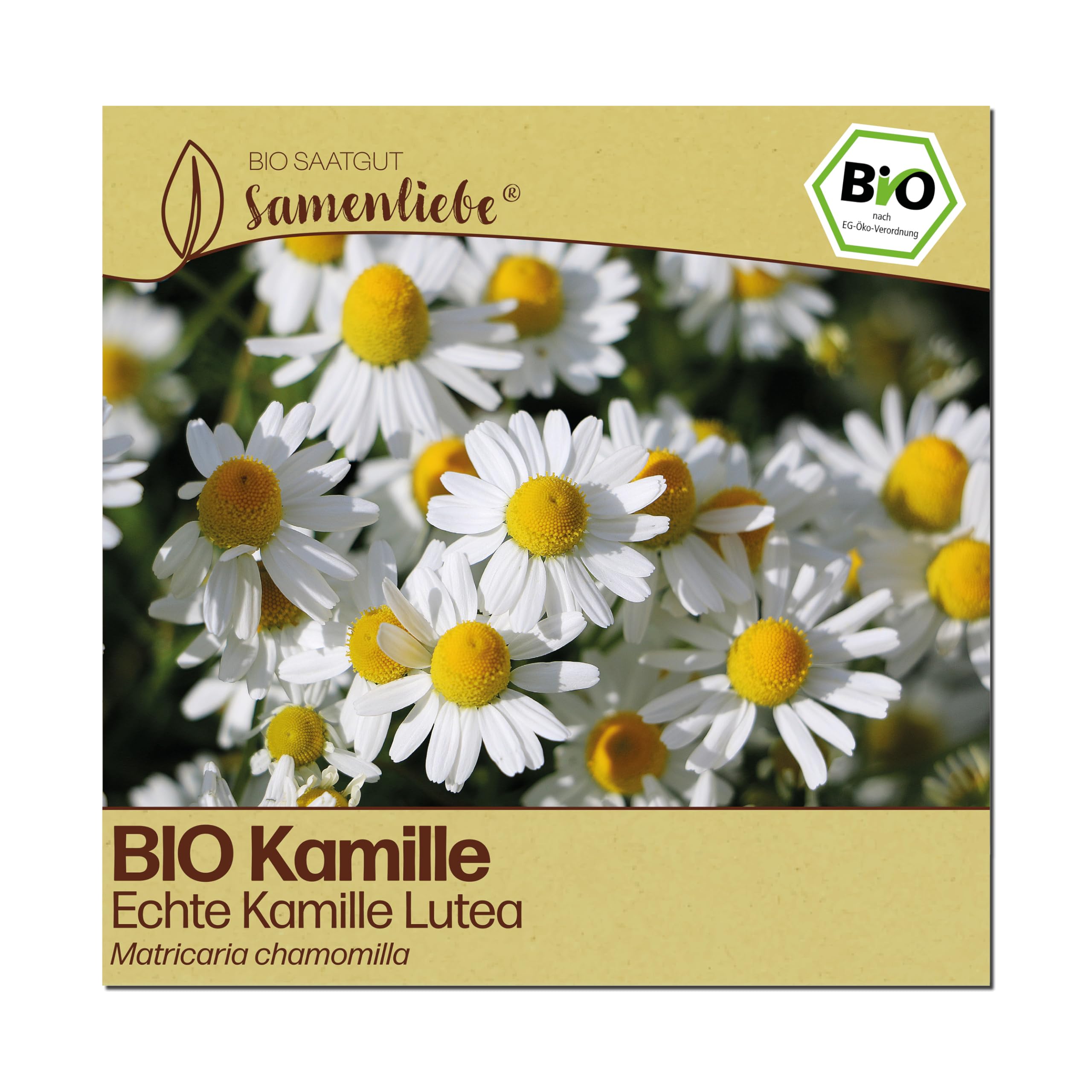 Samenliebe BIO Kamille Samen | Echte Kamille Lutea - samenfestes BIO Saatgut