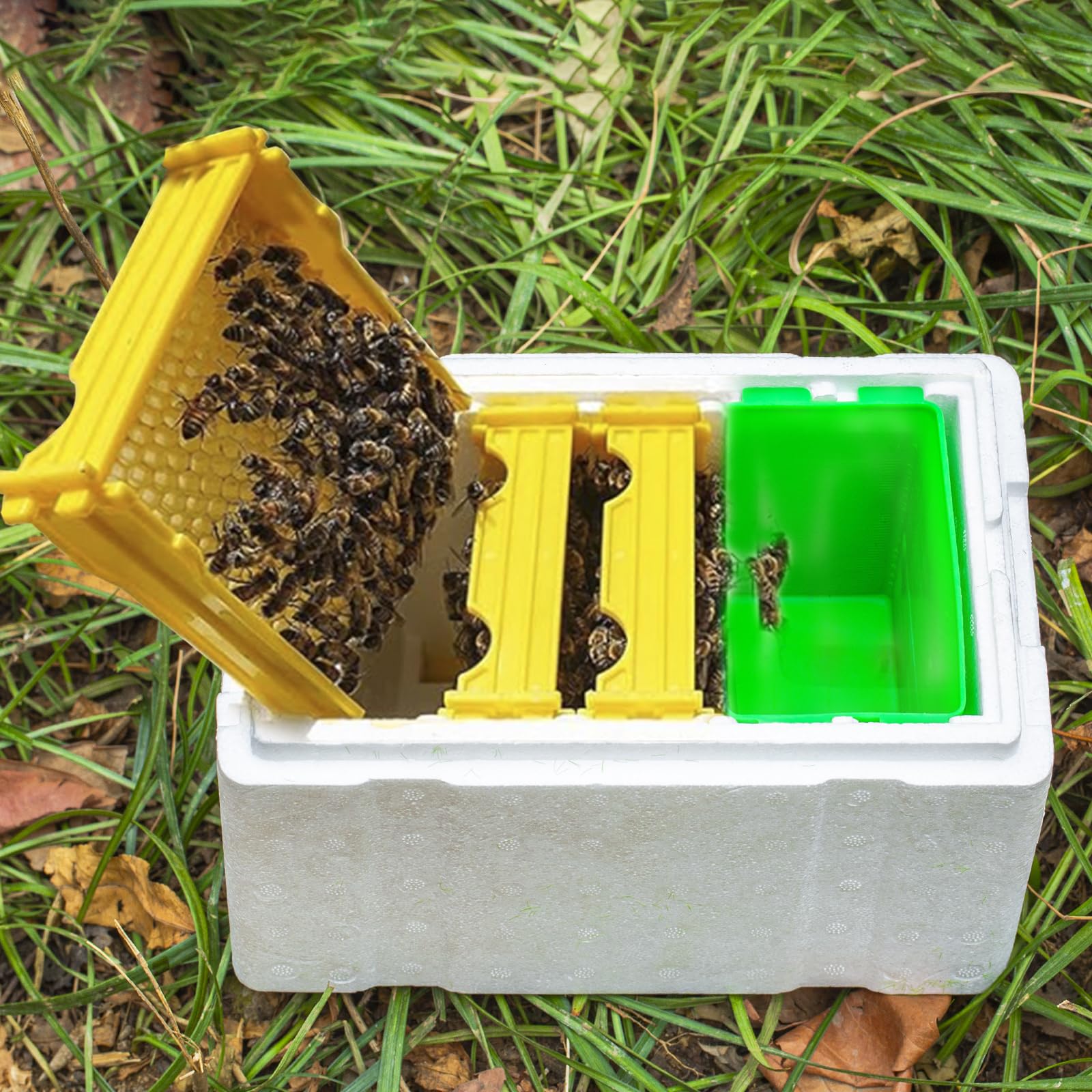 ZffXH Mini Plus Bienenzucht Königin Zucht Box EPS Ernte Beehives Bestäubung Box Bienenstock König Aufzucht Box Bienenzucht Werkzeuge Zubehör Imkerei Ausrüstung