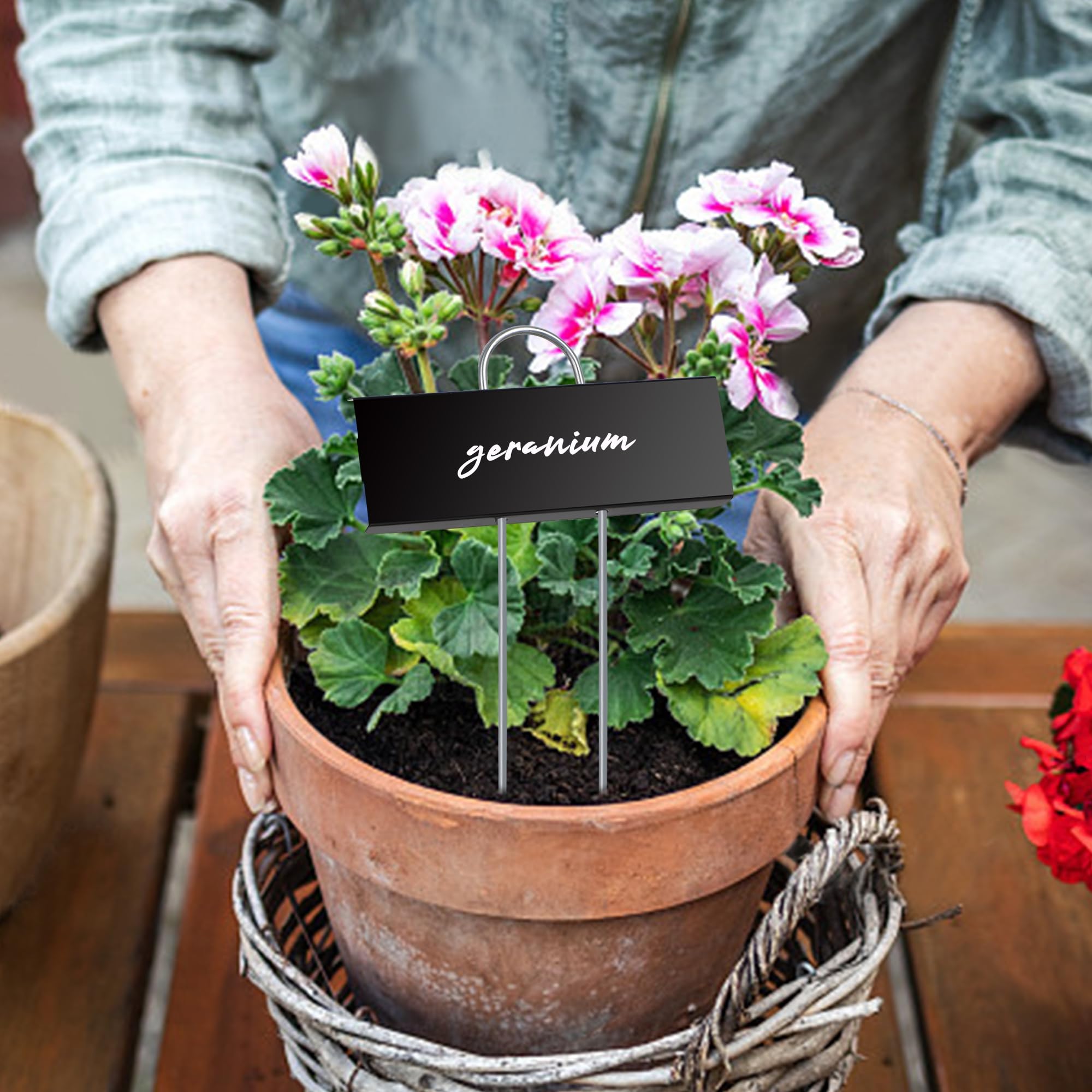 Planting Label Design Snapklik.com : Metal Plant Labels, 30 Pack Garden Label Markers ...