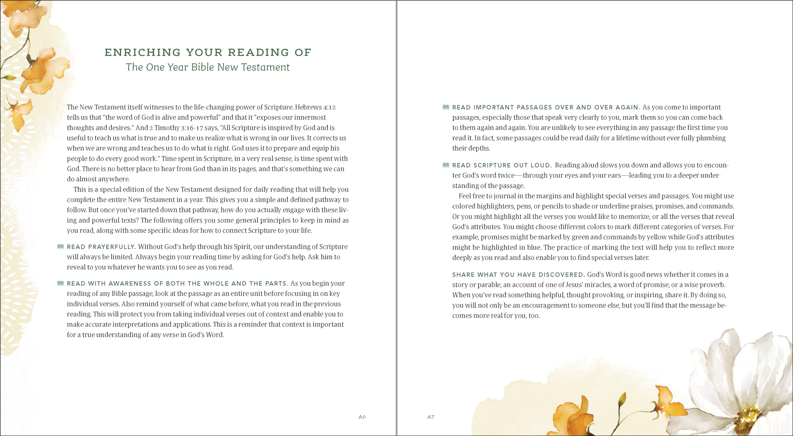 The One Year Bible New Testament: NLT (Softcover, Floral Paradise) - Image 5