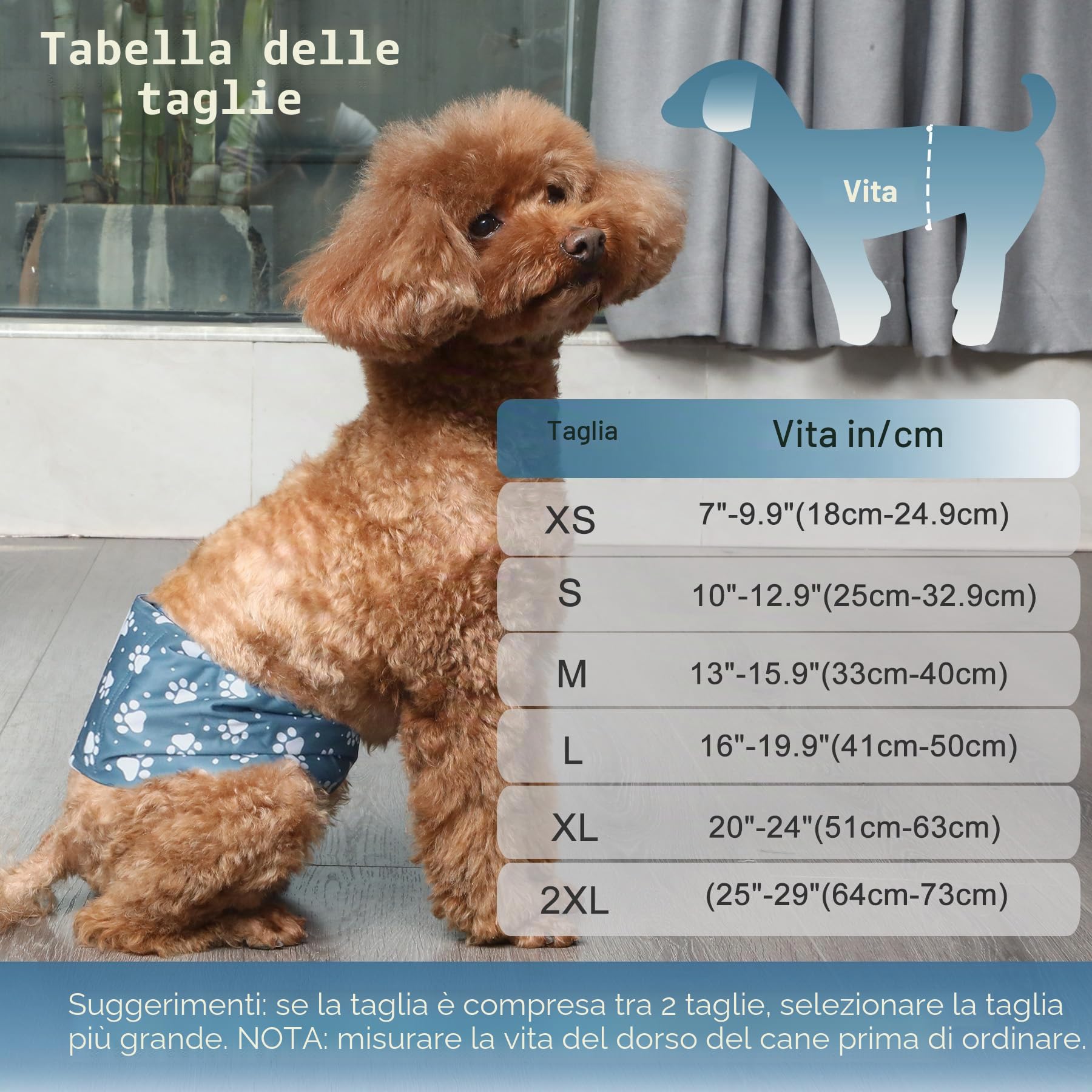 JoyDaog Fasce per Pancia Riutilizzabili per Cani Maschi Pannolini, Confezione da 5 Pannolini Lavabili Premium per Cani Maschi Fasce Pannolino per Cuccioli, S