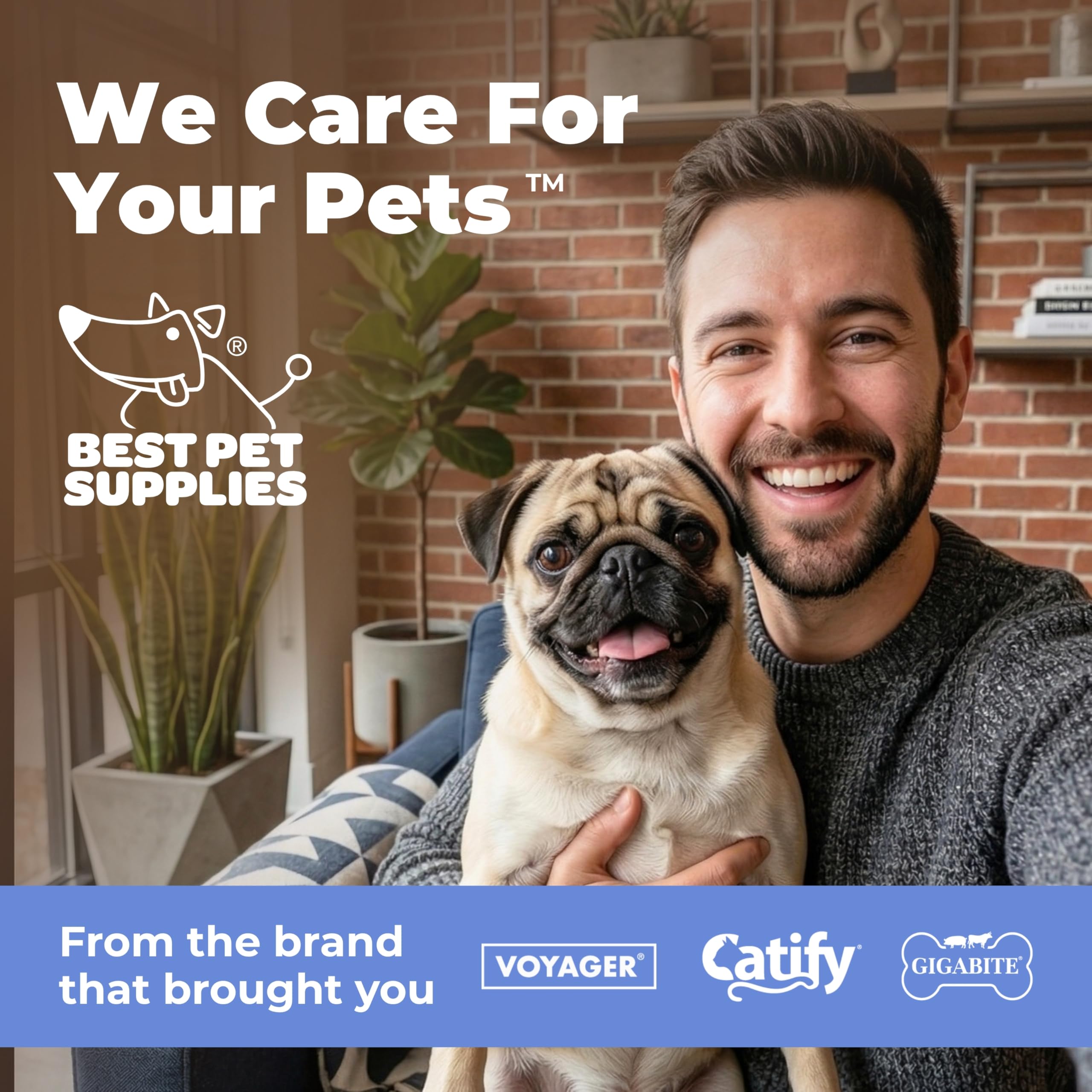 Best Pet Supplies Fotelik podwyższający dla psa do samochodu, ciężarówki i SUV-a, z miękką pluszową poduszką z wysoką poduszką i ścianami, wygodna pościel z bezpiecznymi paskami - szare