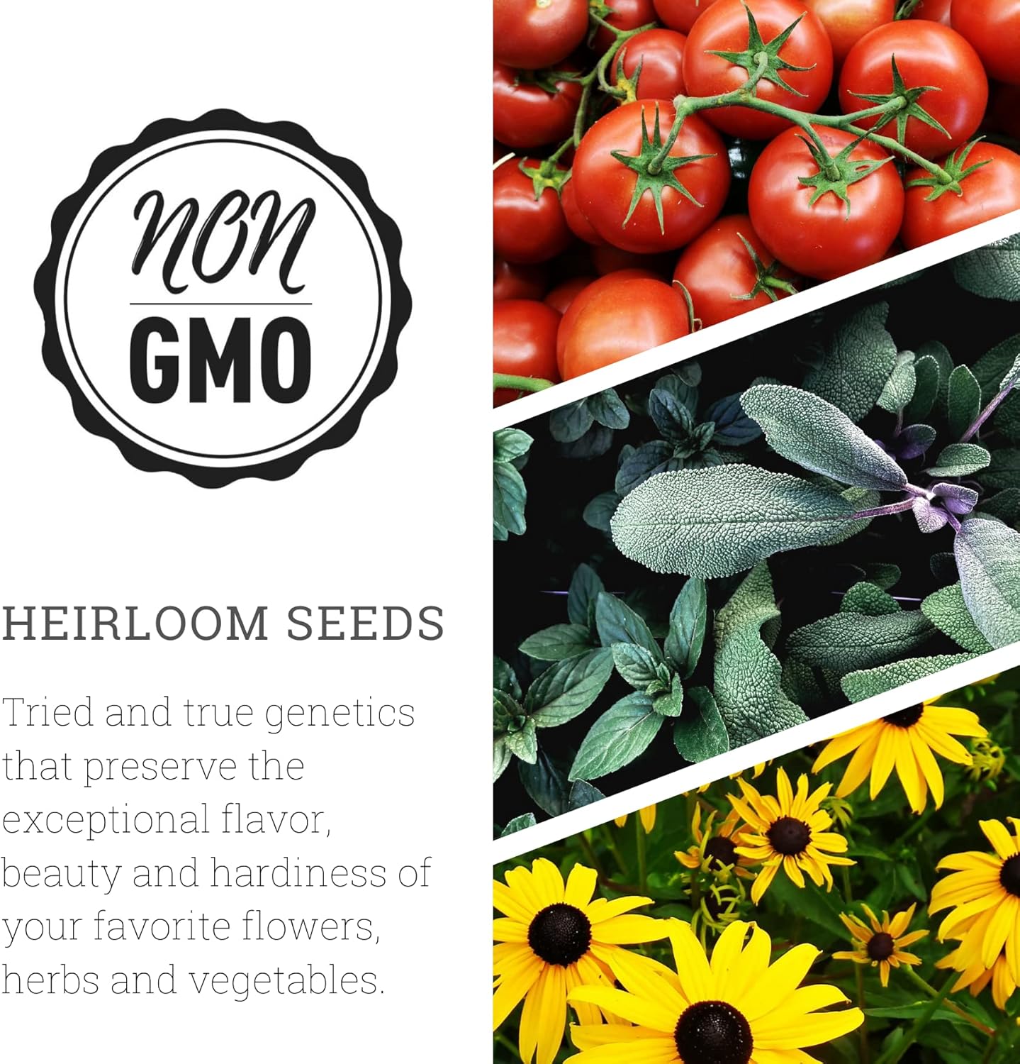 Sow Right Seeds - Large Medicinal Herb Seed Collection for Planting - Lemon Balm, Lavender, Yarrow, Echinacea, Anise, Lovage, Chamomile, Calendula, Marjoram & More - Non-GMO Heirloom : Patio, Lawn & Garden