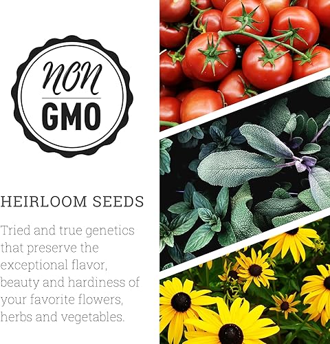 Miniatura 3 de Sow Right Seeds - Semillas de pepino Marketmore para plantar - Paquete de reliquia sin OMG con instrucciones para plantar y cultivar un huerto