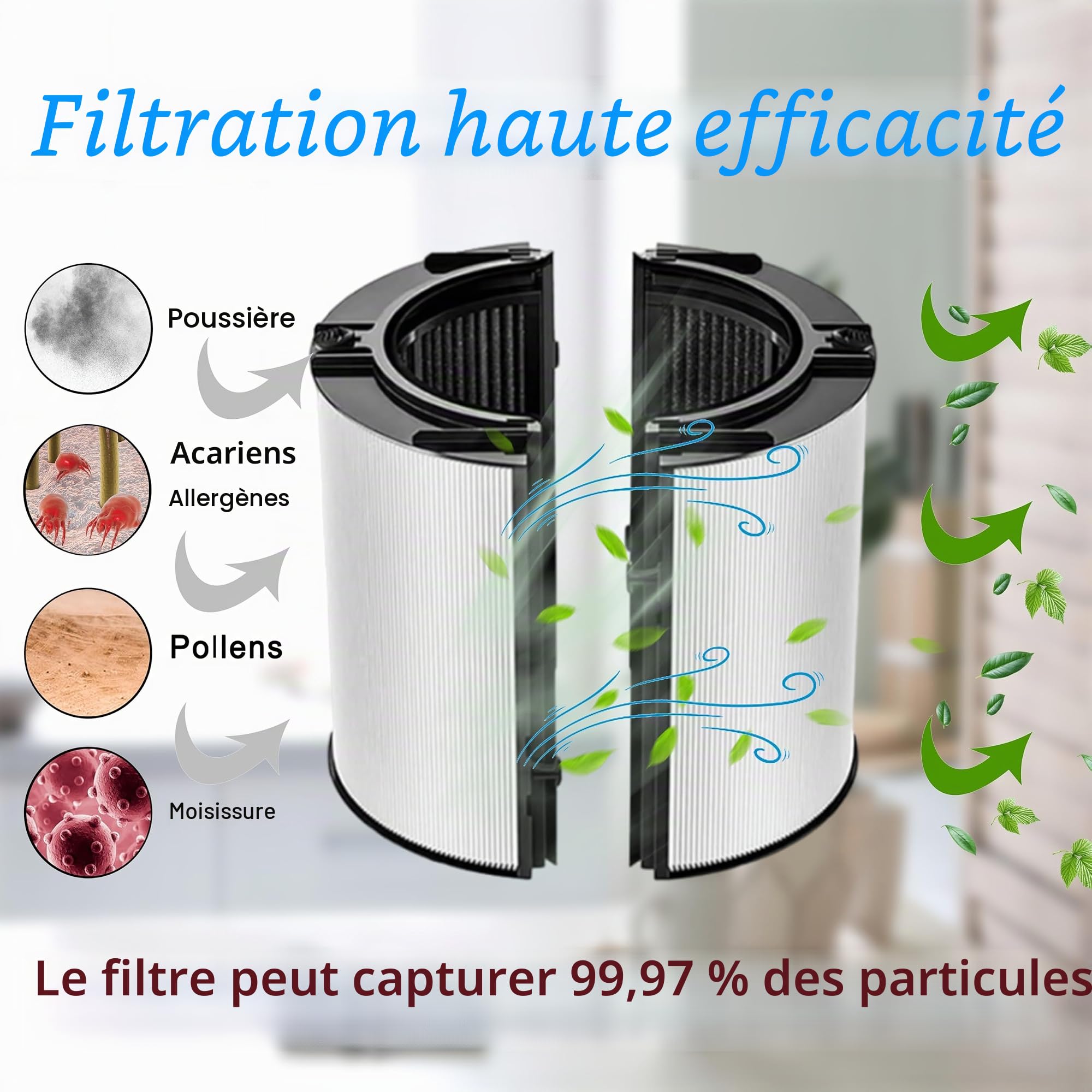 Filtration HEPA 2 en 1 compatible Dyson TP06-TP10, HP04-HP10, PH01-PH04