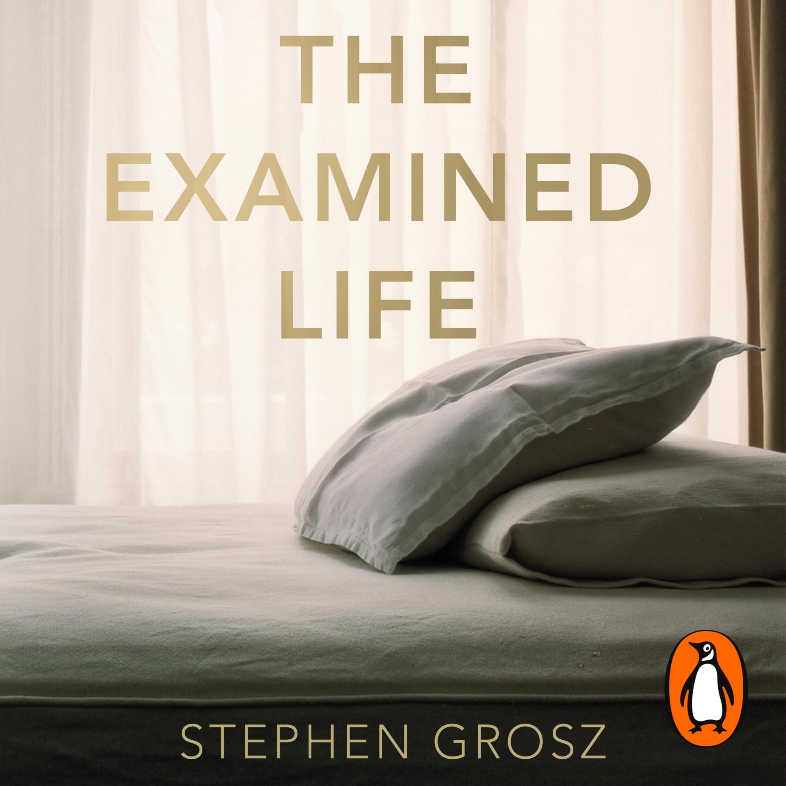 Cover art for The Examined Life