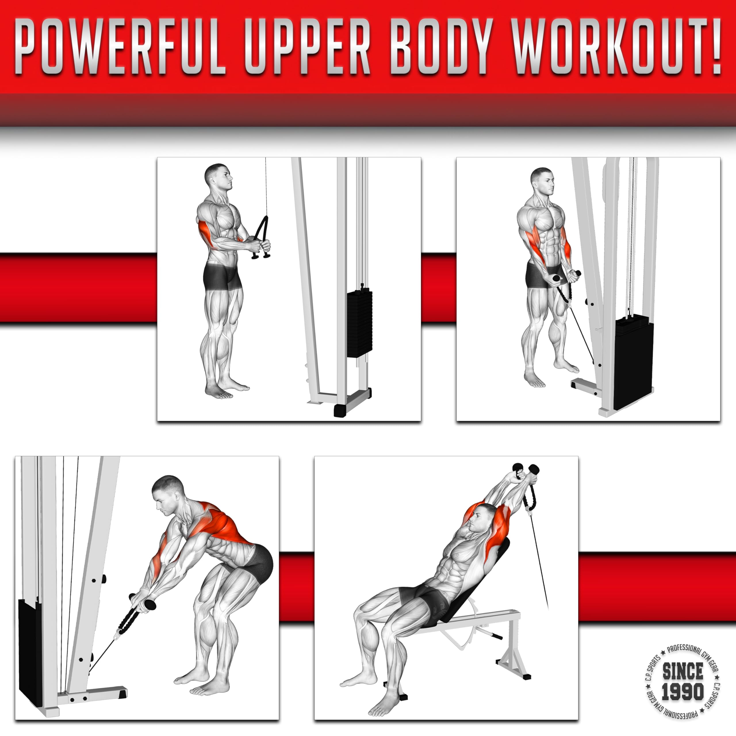 C.P.Sports Cuerda para tríceps, cuerda de tríceps, cuerda de bíceps de 70 cm, cuerda para ejercicios de tracción, cable de cuerda, poleas, entrenamiento de fuerza, fitness, culturismo, incluye