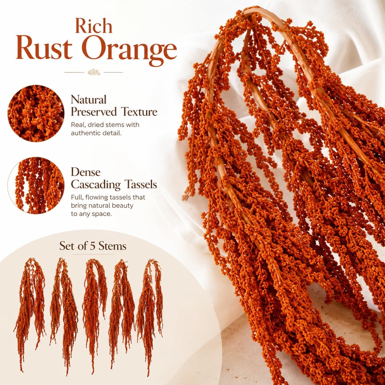5 Pack Orange Preserved Amaranthus Dried Hanging Flowers for Wedding Vase Decor (Orange)
