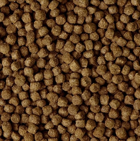 Image Pond Pellets 3mm 10kg Premium Quality Complete Food Image Pond Pellets 3mm 10kg Premium Quality Complete Food