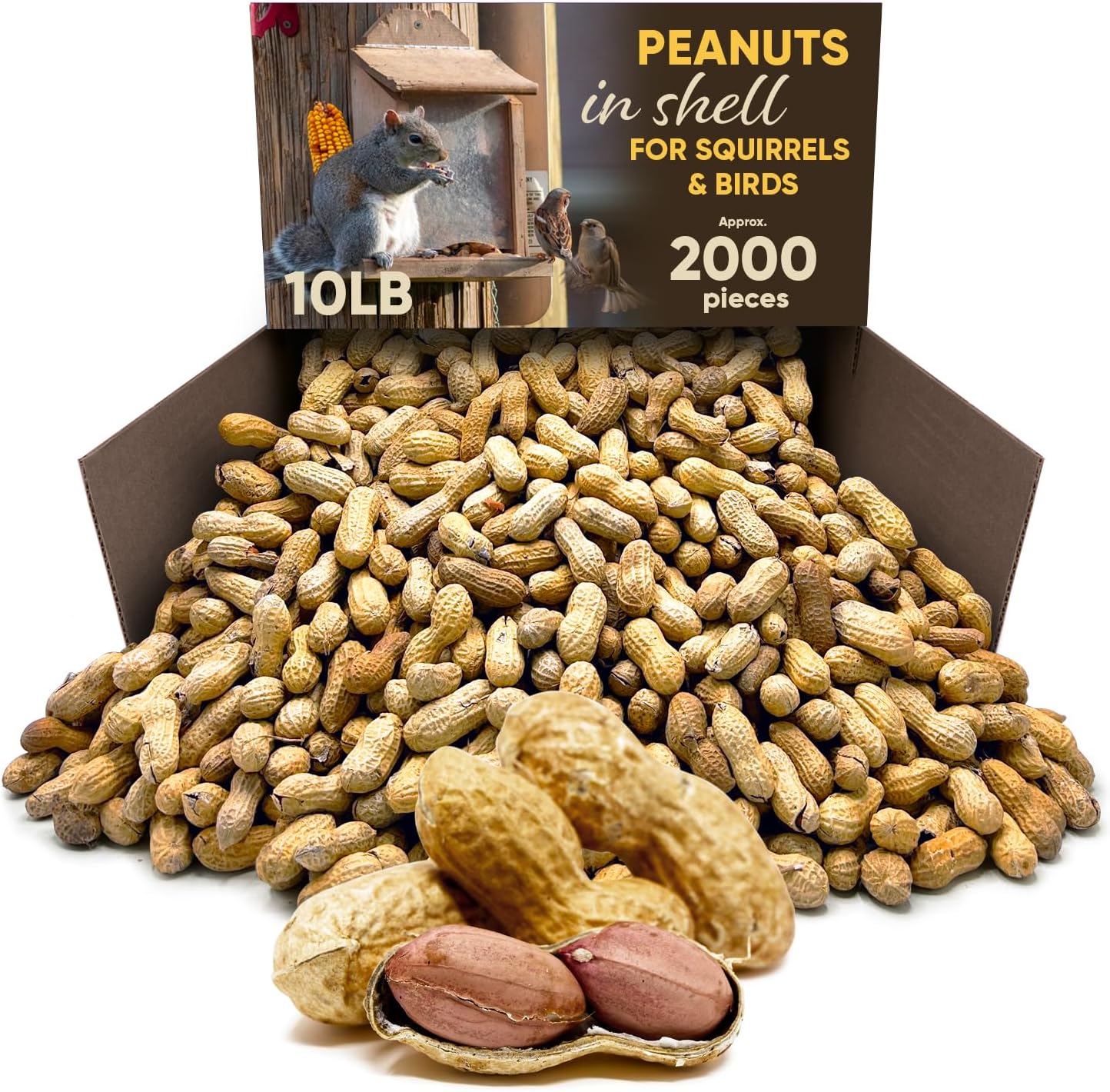 CHAIN & JO SWEETS Peanuts for Squirrels Roasted Unsalted Peanuts in Shell Bulk 10
