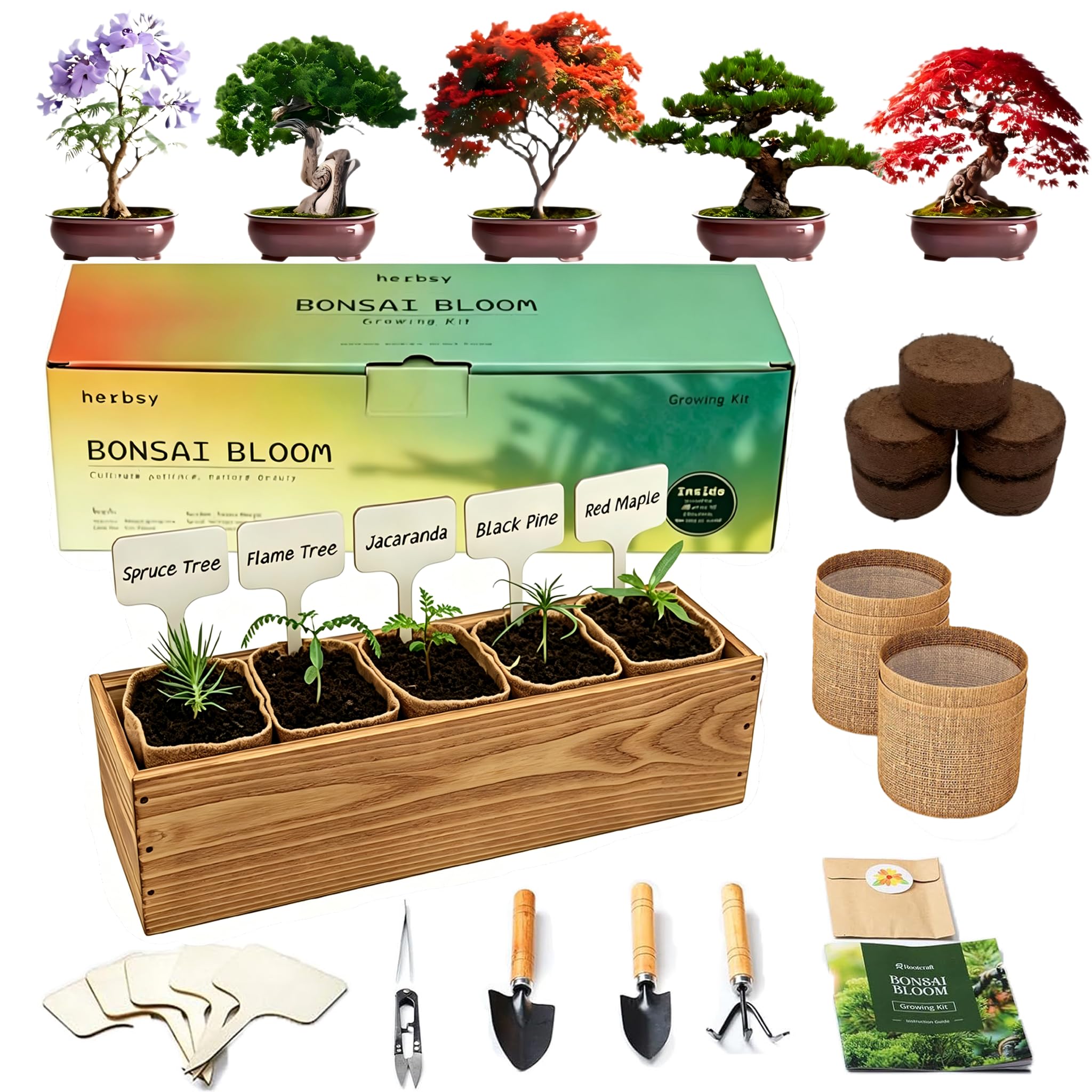 5 Pack Bonsai Tree Kit