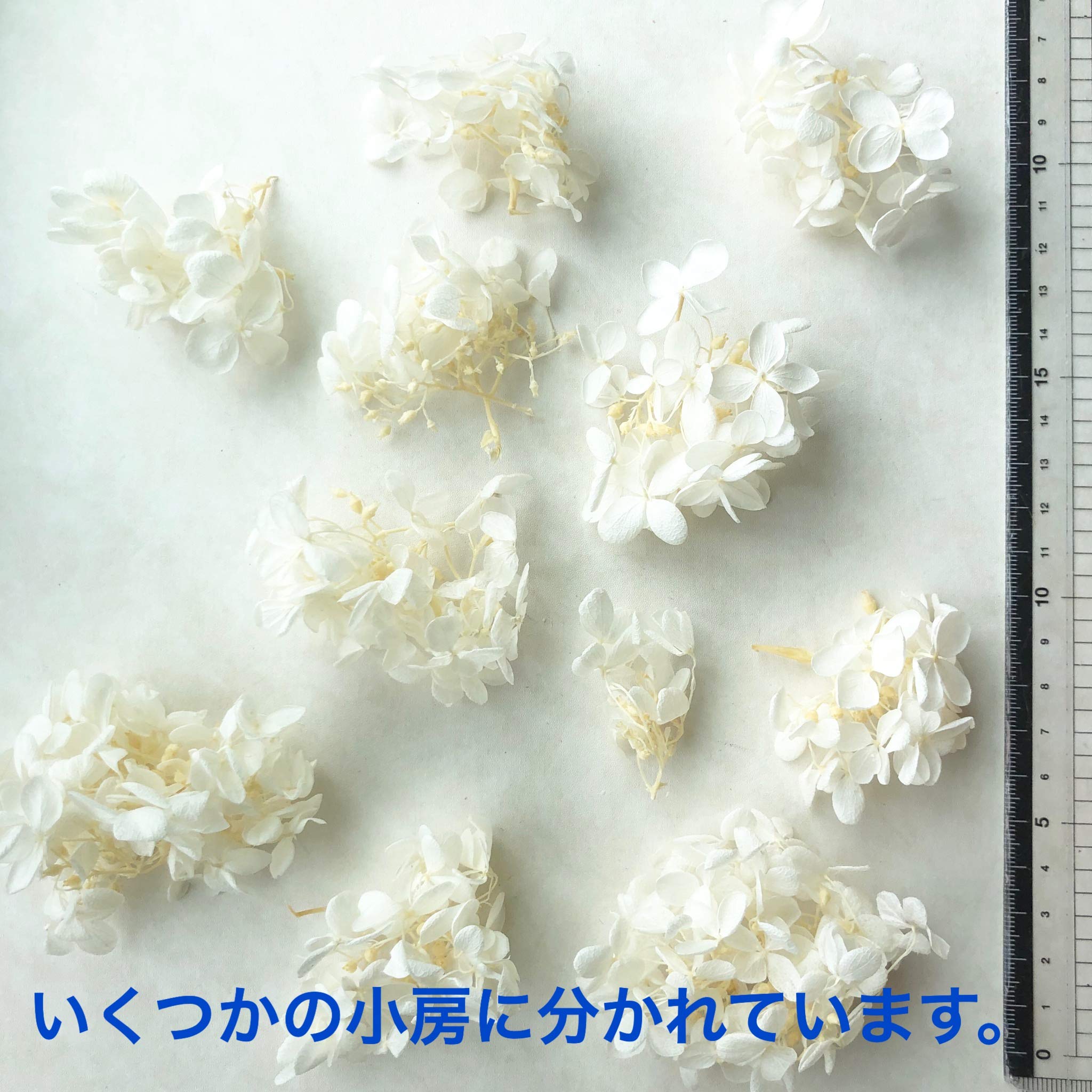 Amazon | プリザーブドフラワー ピラミッドアジサイ 10色セット