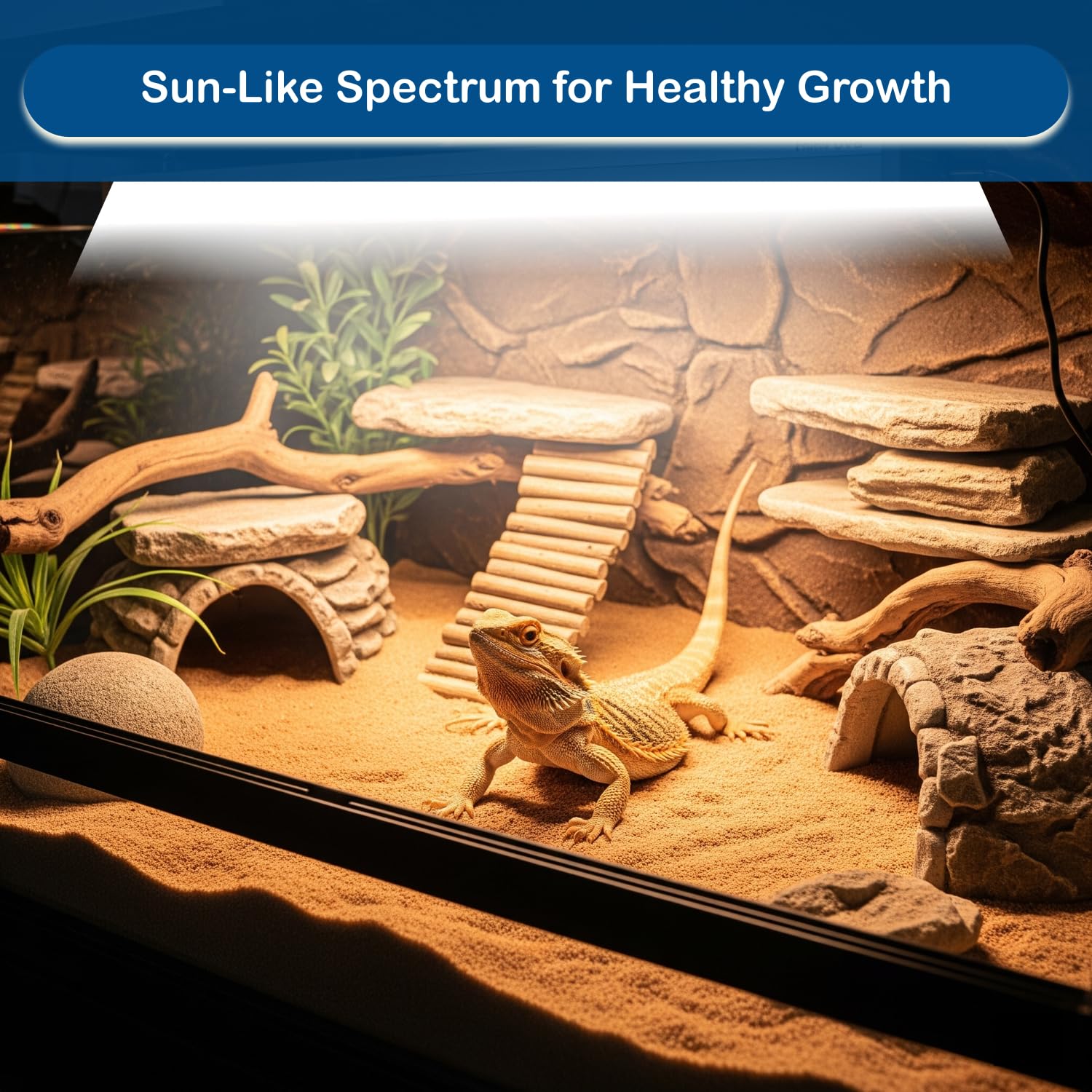 T5 UVB Reptile Light Bulb – 2-Pack 8W High-Output 10.0 UVB Bulbs for Bearded Dragons, Turtles & Lizards – Liner UVA/UVB Lighting for Basking & Vitamin D3 Synthesis - image 3