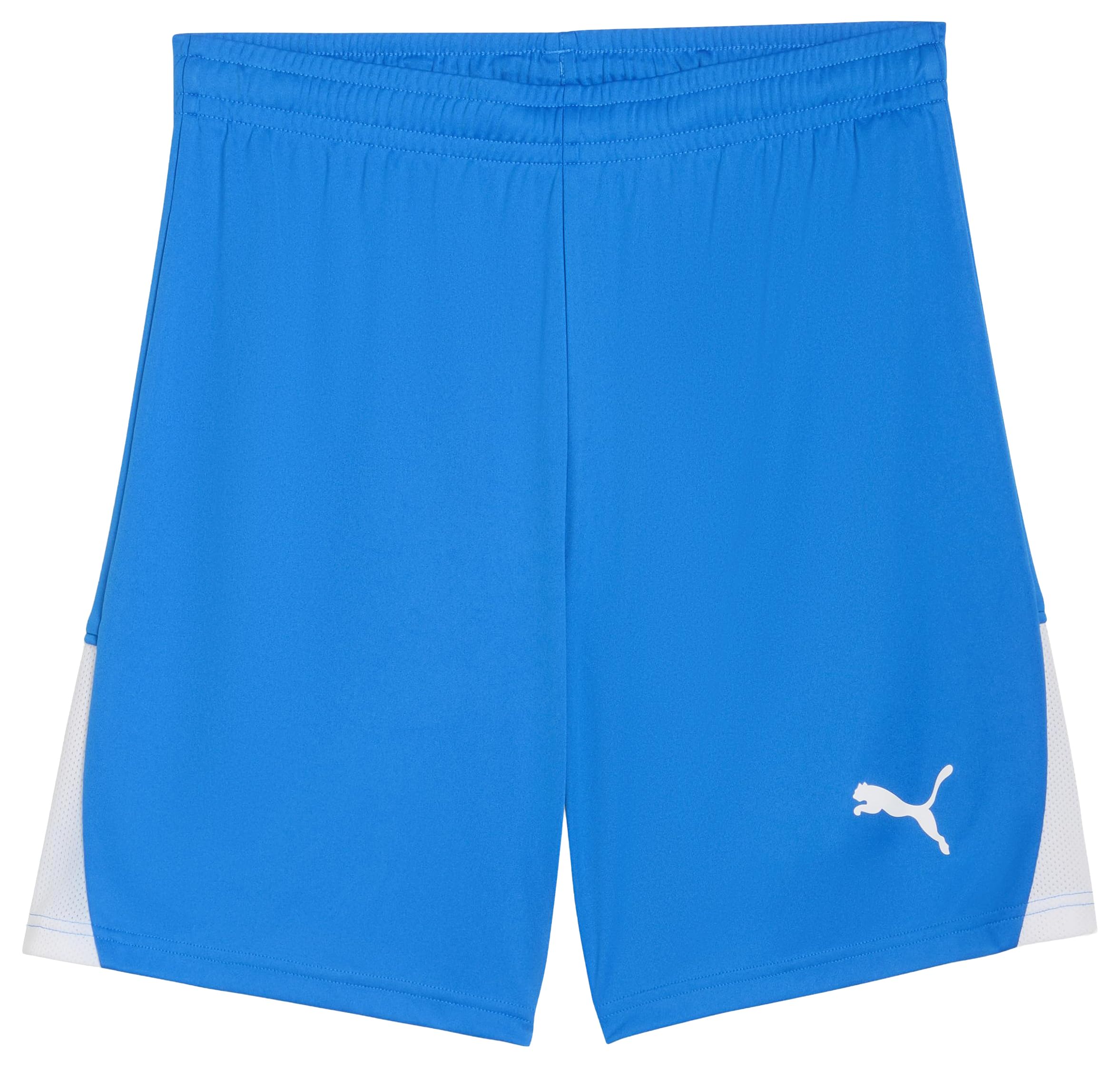 PUMA teamLIGA26 Shorts