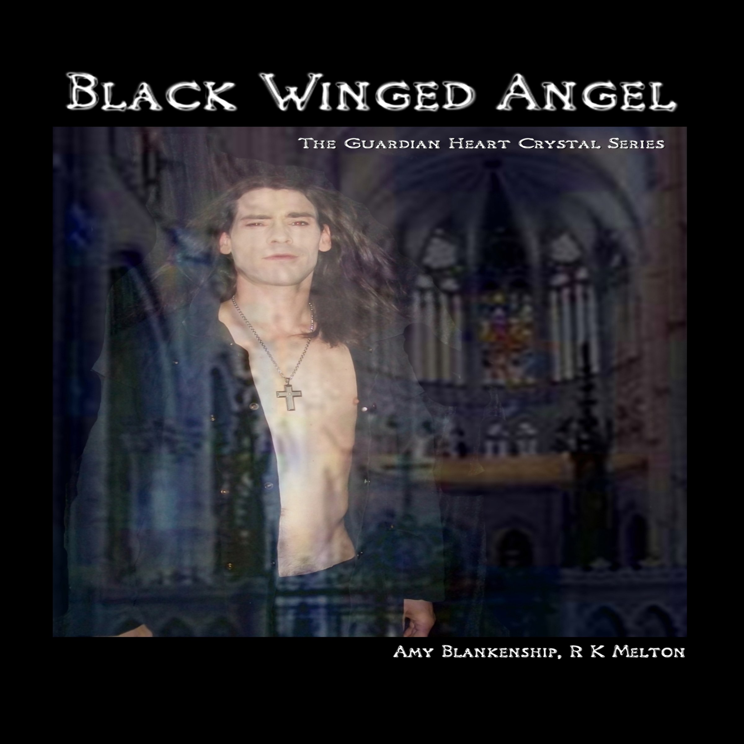 Cover art for Black Winged Angel