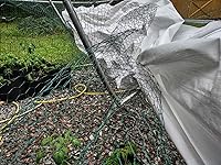 Review Image by Benny J. Benny J.