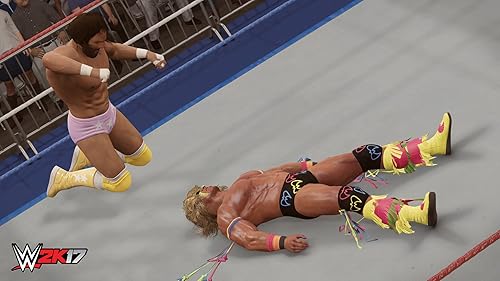 Miniatura 14 de WWE 2K17 - Steam PC Online Game Code