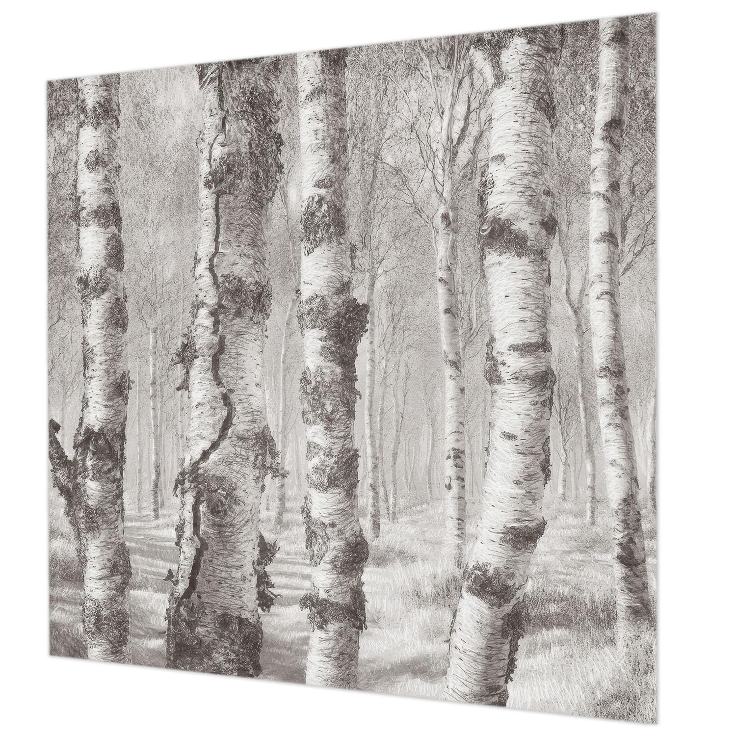 Papier peint forêt de bouleaux intissé 250x250 cm pour salon et chambre