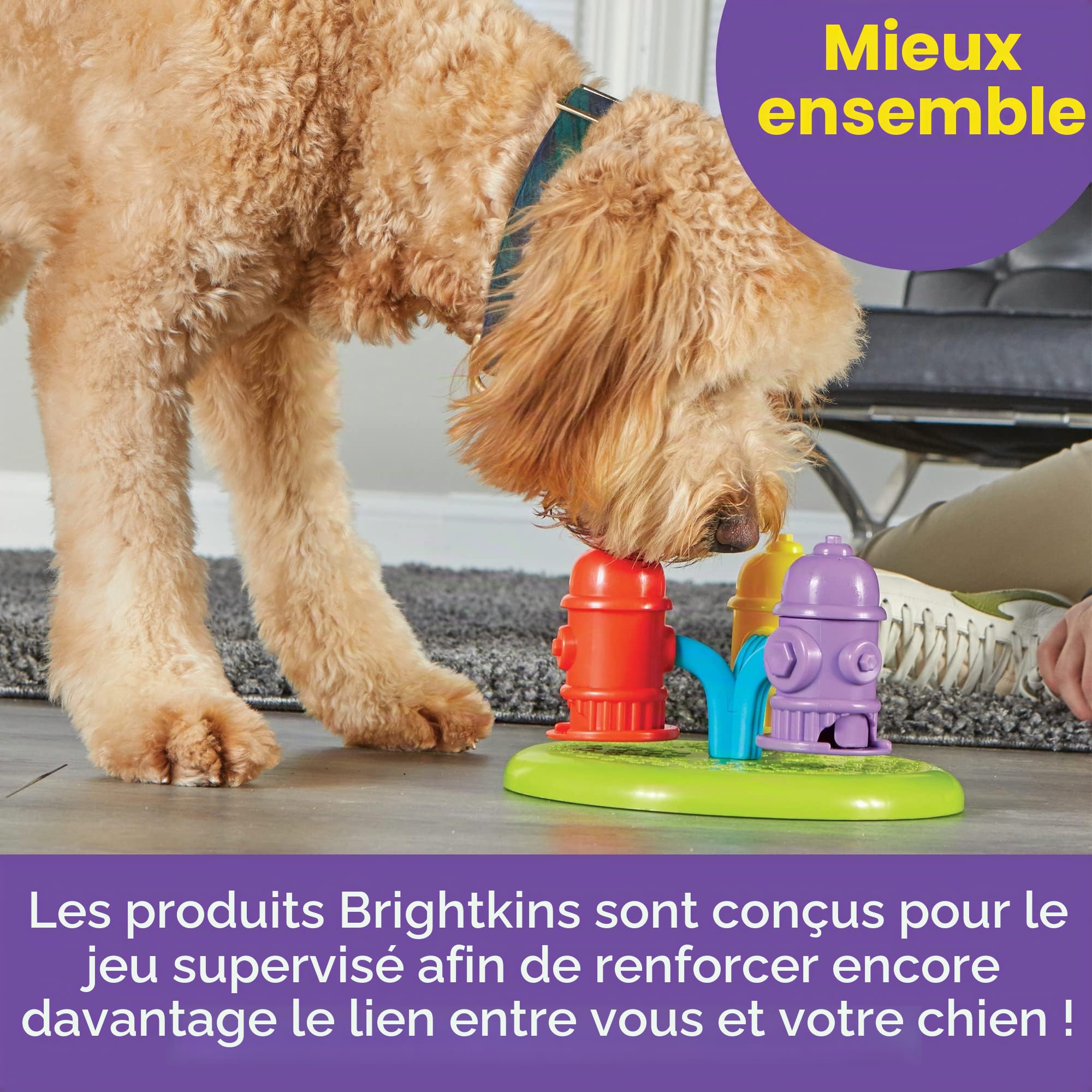 BrightKins Puzzle Distributeur de friandises en Forme de bouches d’Incendie tournantes pour Animaux de Compagnie, Jouets interactifs pour Chiens, Jeu interactif d’Alimentation Lente, 3 Niveaux