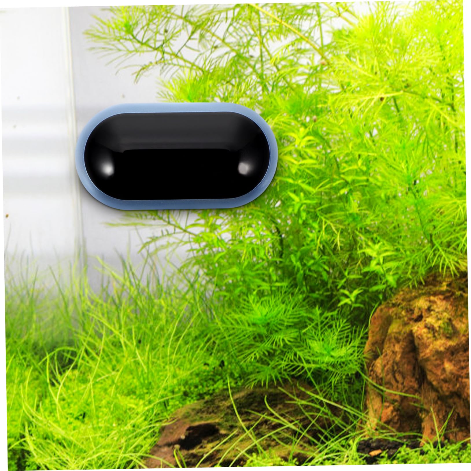 BESPORTBLE 5piezas Digital Acuático Medidor De Temperatura Para Acuarios Pantalla Led Precisión Alta Para Peces y Tanques De Agua