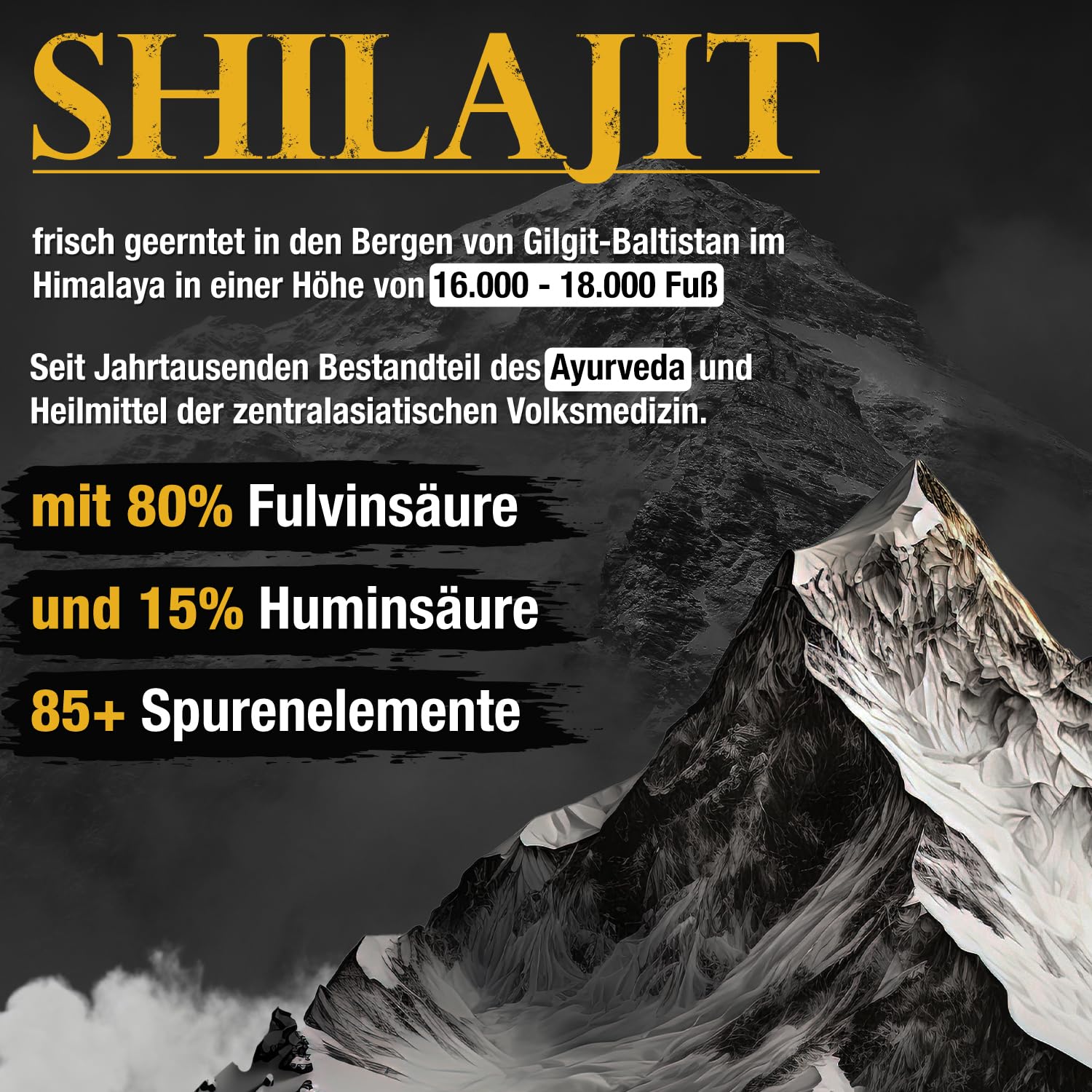 Shilajit Gold Standard 60g | 85+ minerales | máxima potencia del Himalaya | suministro para más de 3 meses | 100% puro y original | vegano y sin aditivos