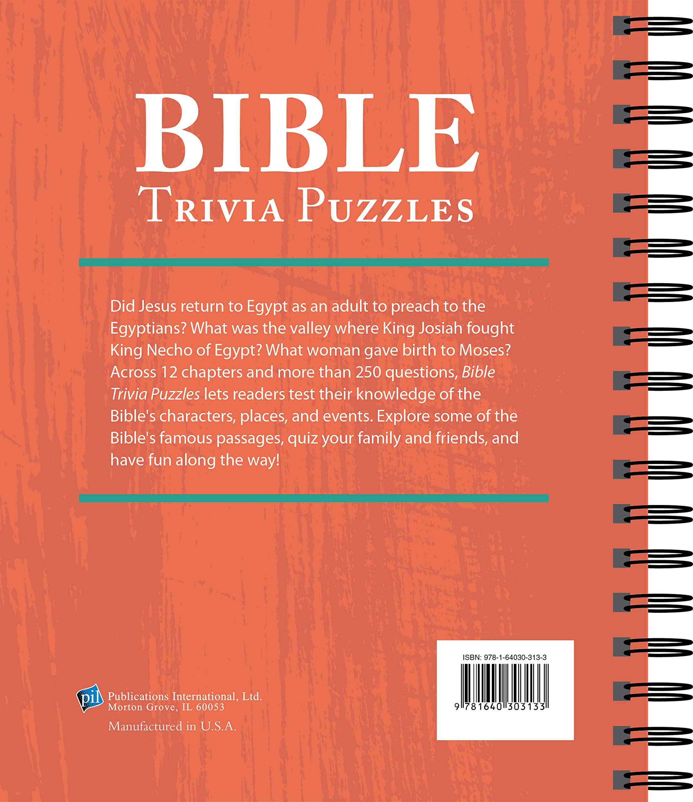 Brain Games Bible Trivia Puzzles