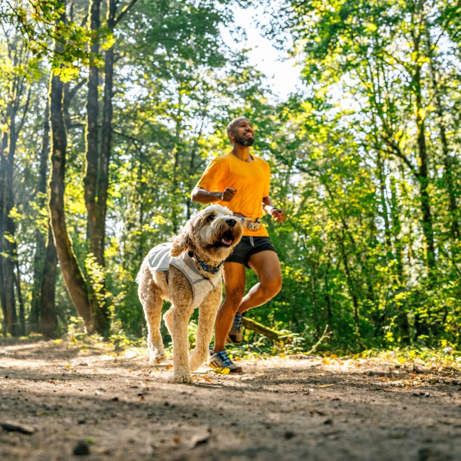 【新品】ラフウェア /スワンプクーラーベスト /バイオルミンブルー/XSサイズ スワンプクーラーベスト | Ruffwear JAPAN