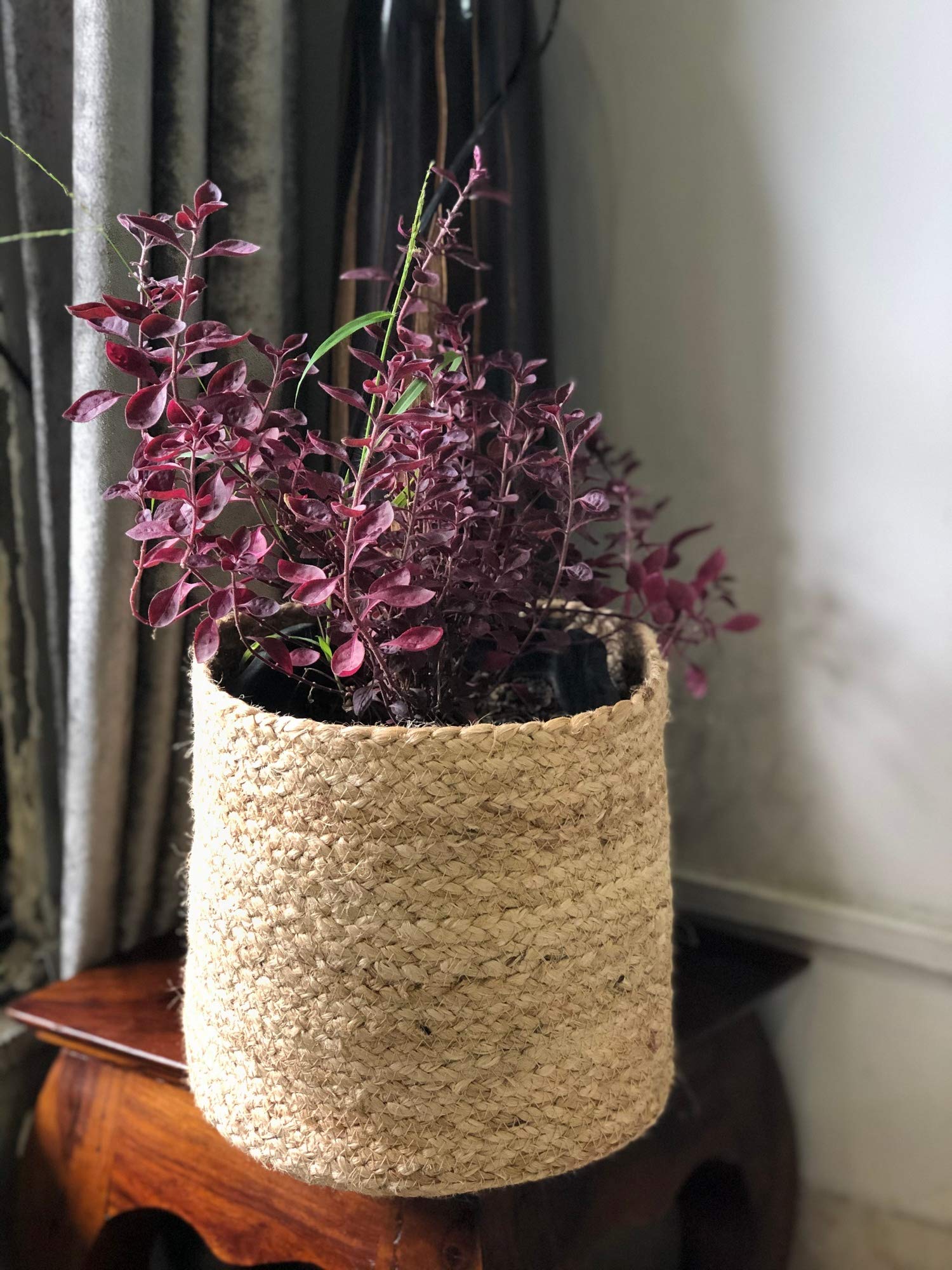 See full amazon price history chart for Party Stuff Handcrafted Woven Round Floral Pots Bag Natural Jute & Cotton Plant Bag Pot Bags for All Plants Home Room Hall Decor Indoor Outdoor Plant Sack (8x8 inches) Party Stuff Handcrafted Woven Round Floral Pots Bag Natural Jute & Cotton Plant Bag Pot Bags for All Plants Home Room Hall Decor Indoor Outdoor Plant Sack (8x8 inches) (B08H55KQSQ) Amazon Price History, Amazon Price Tracker