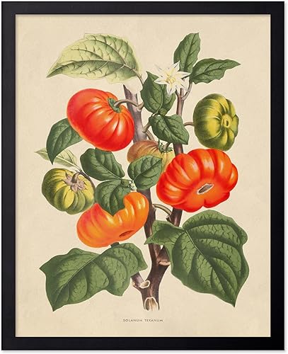 Miniatura 65 de Poster Master Póster de flores vintage, estampado botánico retro, arte floral antiguo, arte de plantas, regalo para hombres y mujeres, gran