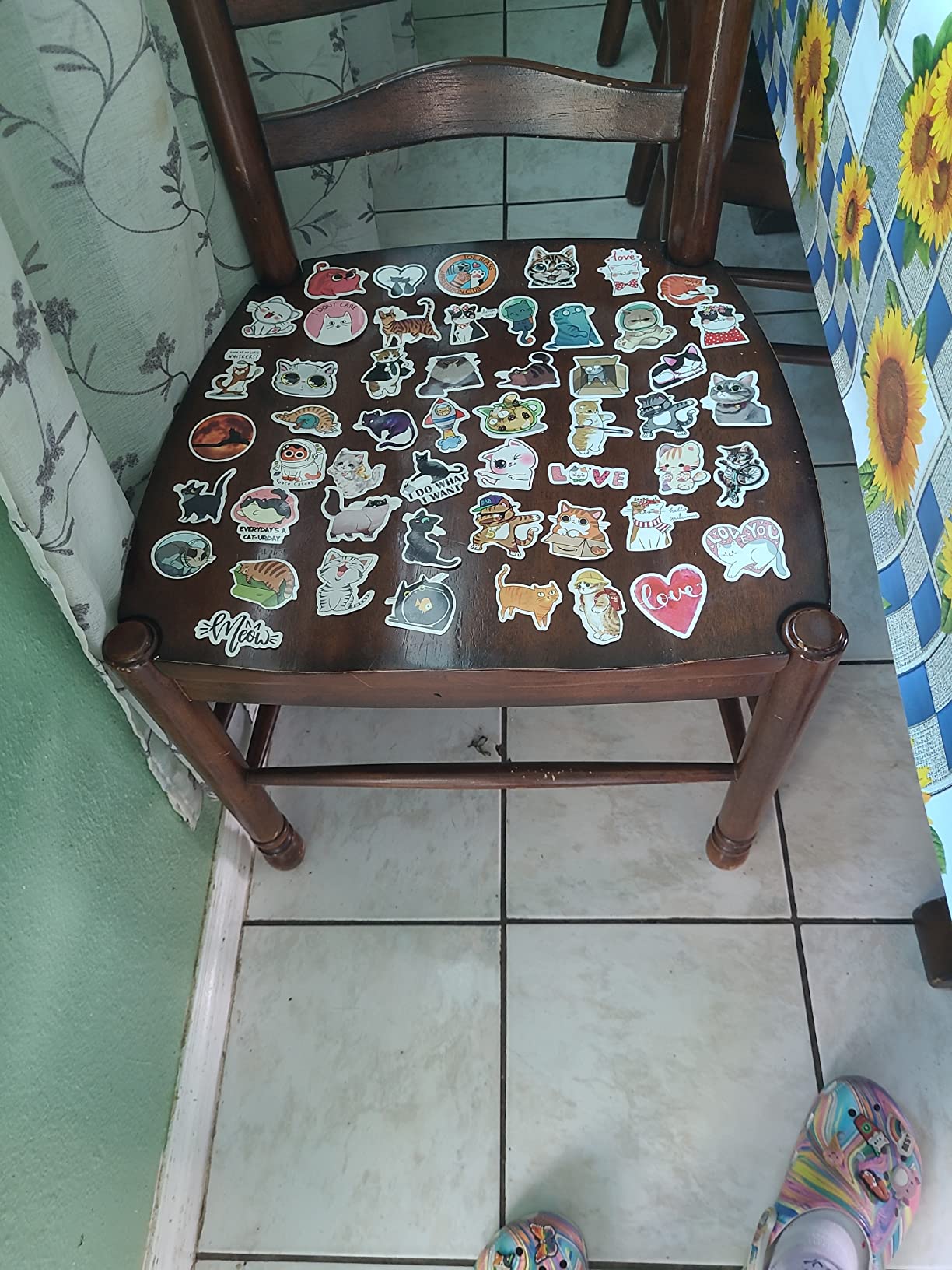 Amazon.com: 50pcs Cute Cat Stickers, Kawaii Waterproof Vinyl Animal ...