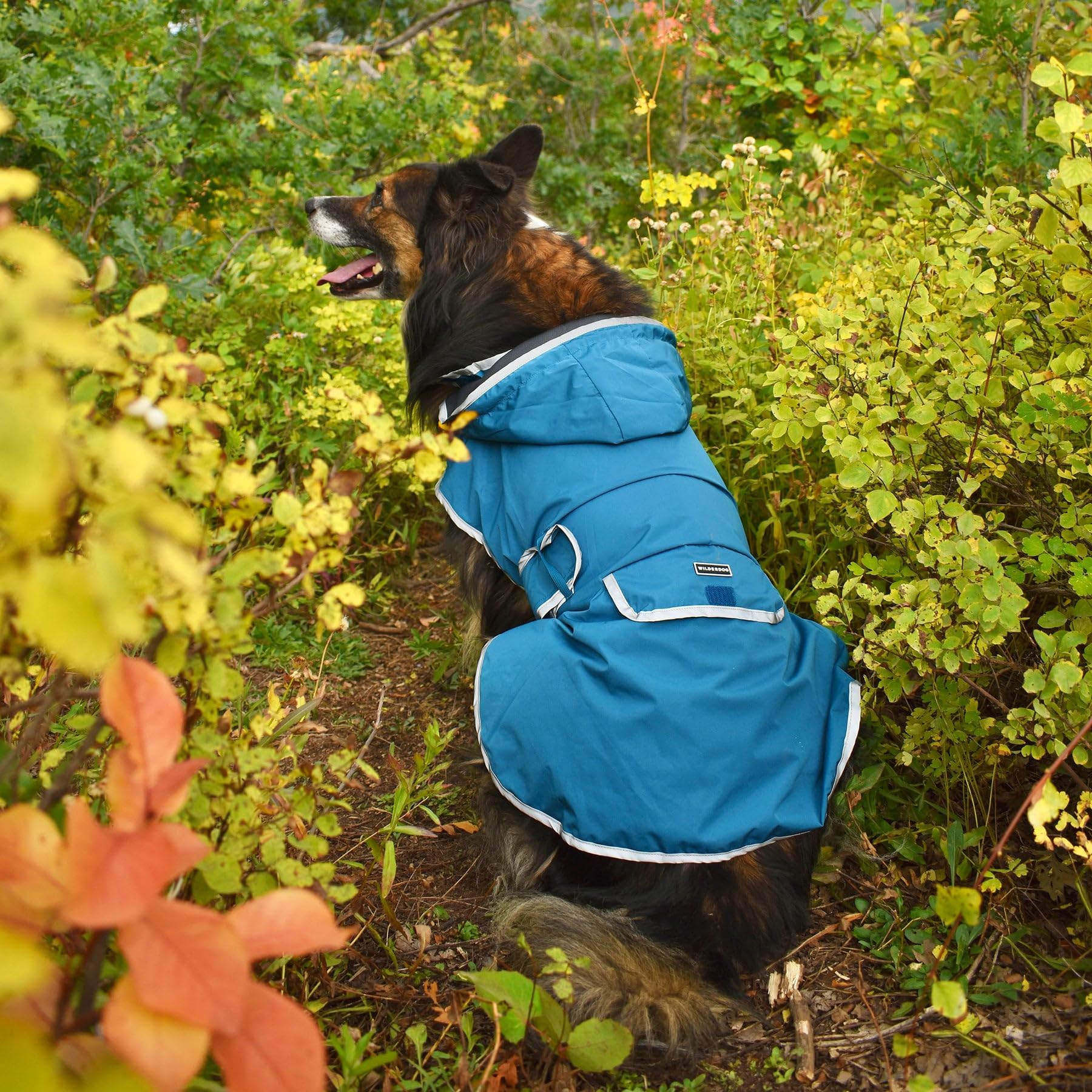 Wilderdog Chaqueta impermeable para perro con interior transpirable, capucha extraíble, correa de torso, cierres seguros, bolsillo trasero y dos trabillas para colgar, plegable en el bolsillo trasero