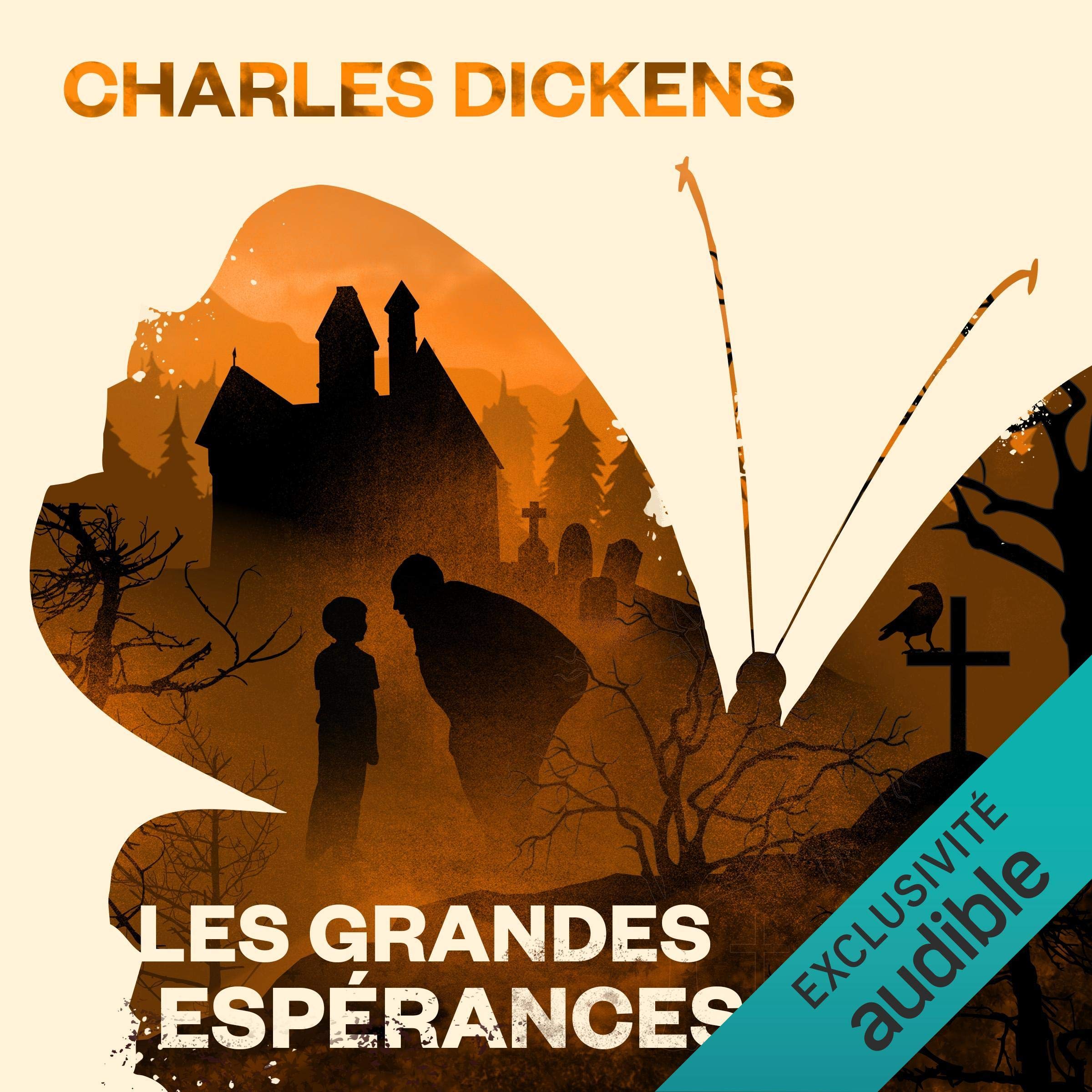 Cover art for Les grandes espérances