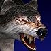 Life Of Wolf