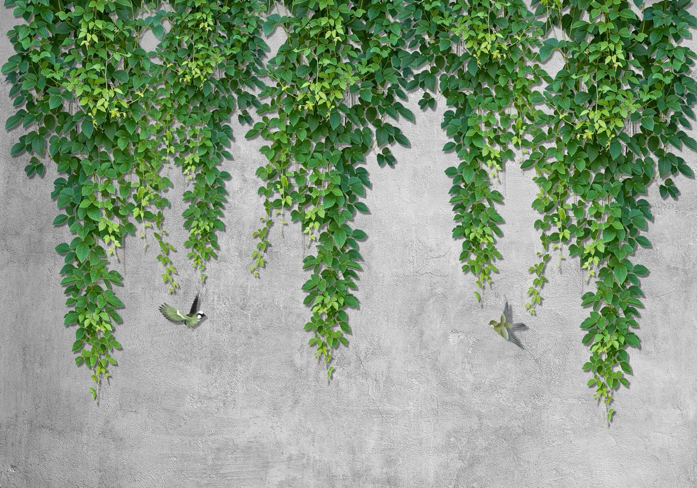 Papier Peint Panoramique Tapisserie Murales Oiseau Feuilles De Vigne Verte 200x140cm Intissé Soie Poster Geant Mural Salon Chambre