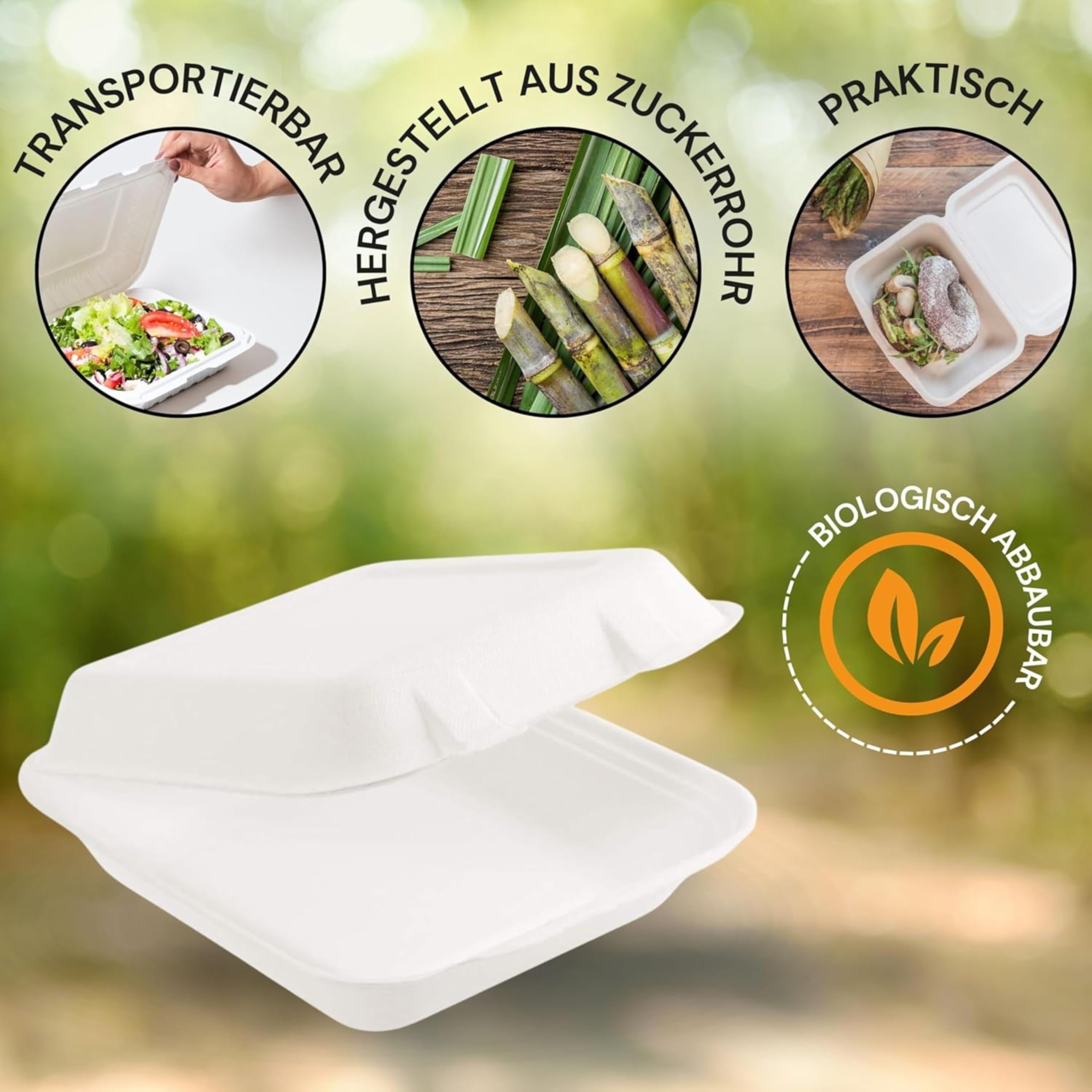50 Stück Bio Box Take Away weiß 222 x 200 x 67 mm aus Zuckerrohr | nachhaltige To Go Lunchbox Essensbox Bentobox | Lebensmittel Behälter Einweg | kompostierbar auslaufsicher