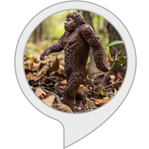 Amazon.com: Hunt the Yeti : Alexa Skills