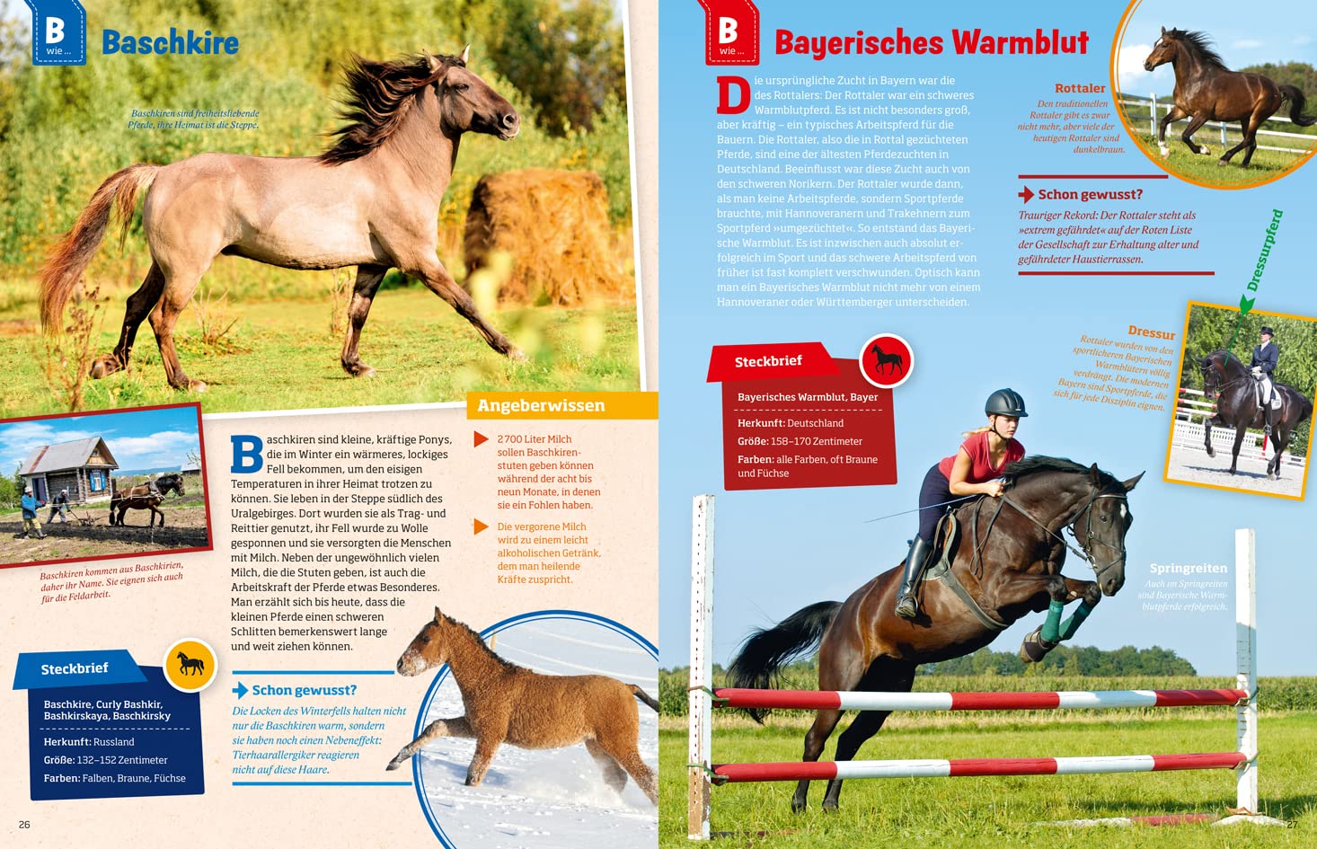 Was ist was: Pferde und Ponys: mehr als 100 Pferderassen und ihre Besonderheiten, über 650 Fotos!