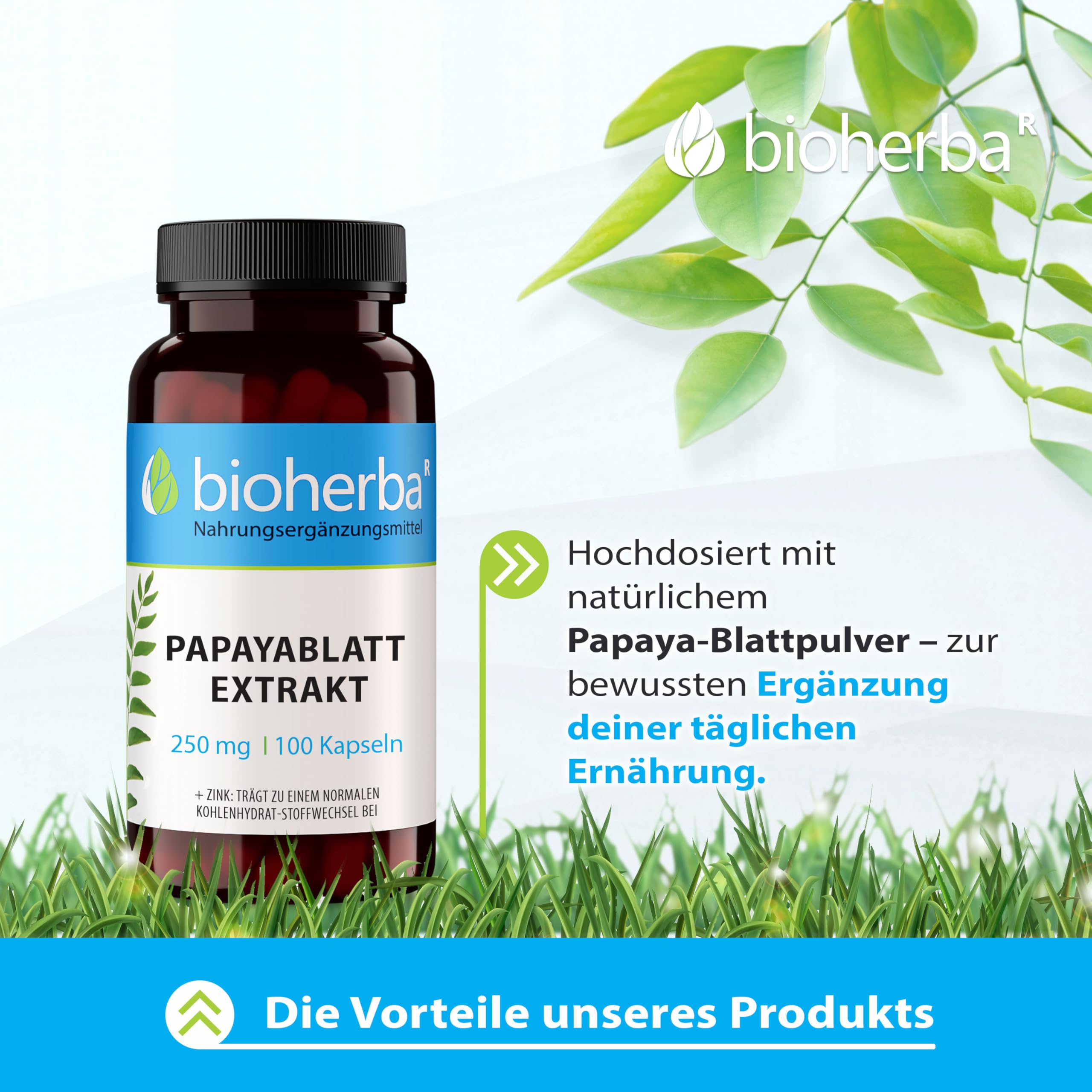 Papaya-Blatt Kapseln, 200 Stück, 250 mg Papaya-Extrakt von BIOHERBA