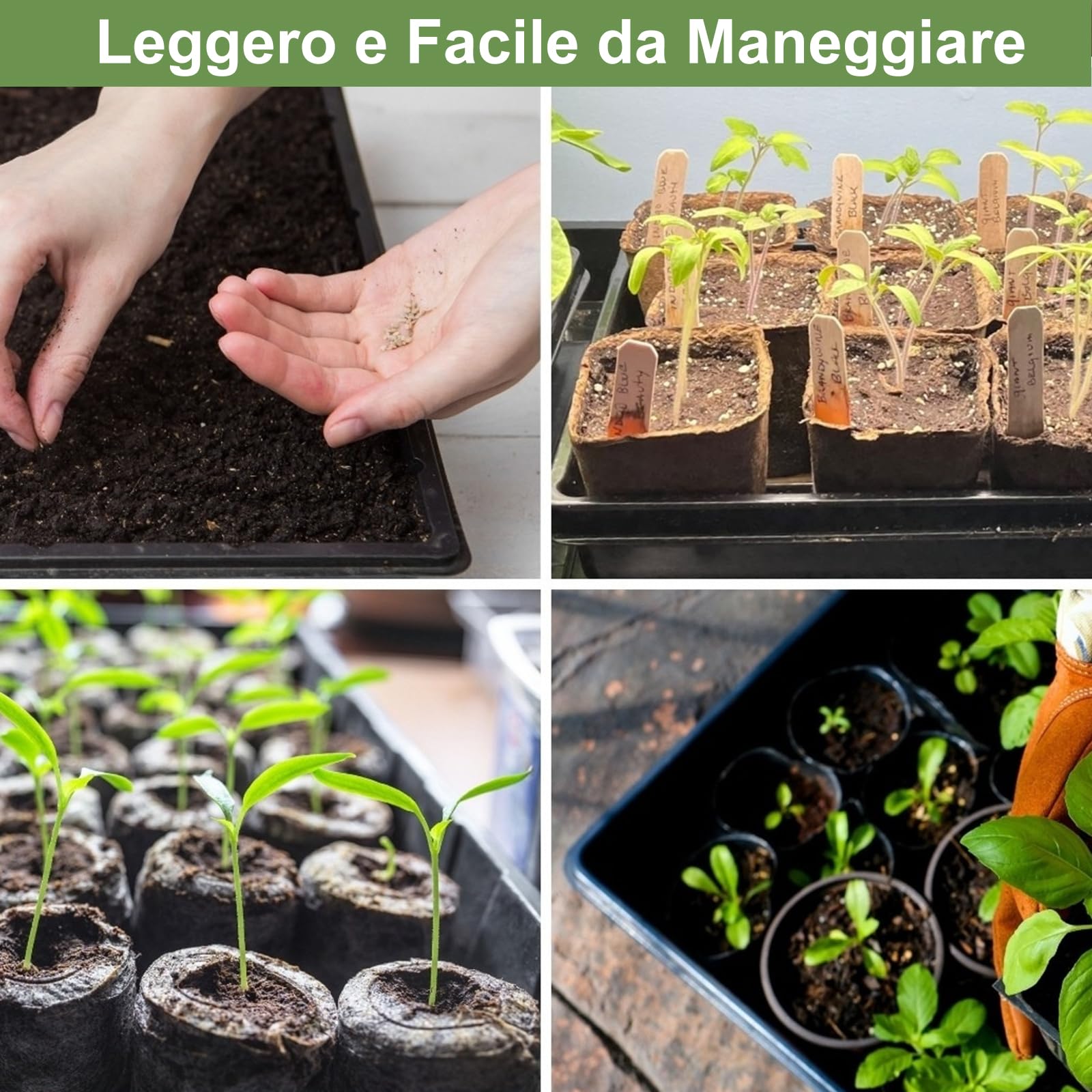 BeGrit 5 Pezzi Vassoi Semina Plastica 44 x 30 x 4,5 cm Germinazione Semina Vaschette Grande Semenzaio vassoio per microgreens rettangolari semi in plastica per Serra Idroponica Giardino Verdura Frutta