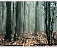 Vista 55 de artgeist Mural de Pared Forestal 154x122 pulg - Adhesivo de Pared Autoadhesivo para Despegar y Pegar, Adhesivo de Pared, Adhesivo de Foto