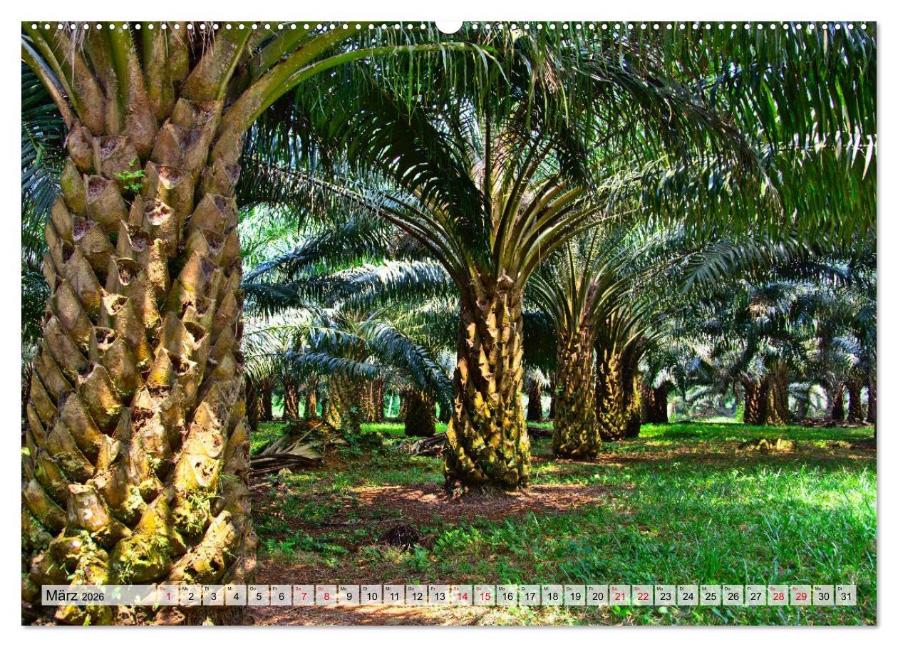 São Tomé - Inselparadies am Äquator (Wandkalender 2026 DIN A2 quer), CALVENDO Monatskalender: Unbekanntes Afrika mitten im Atlantik (CALVENDO Natur)