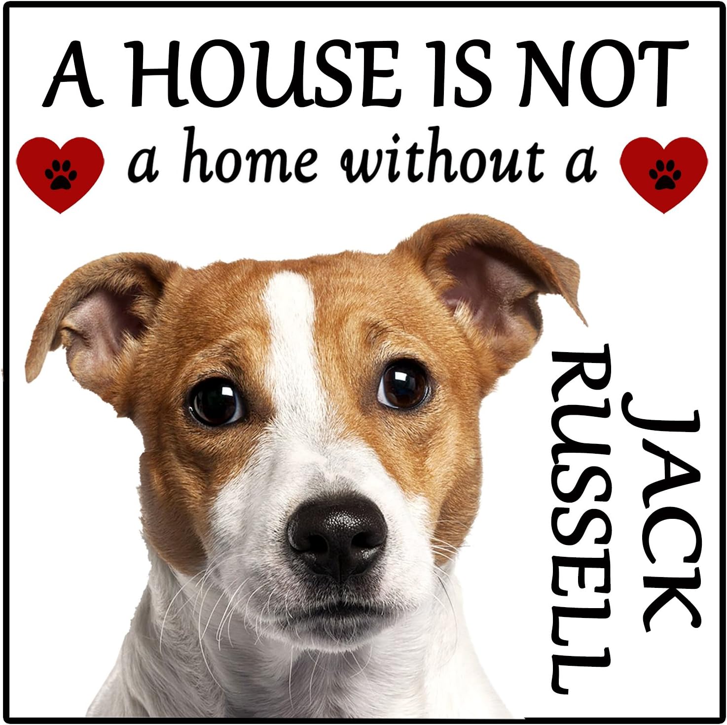 Jack Russell Terrier Dog Gift "House is not a Home" Fridge Magnet, size 5" x 5".