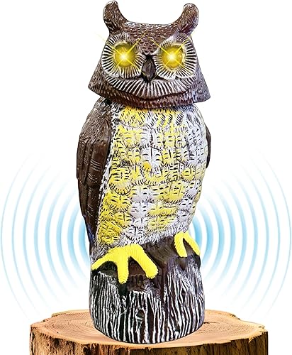 Búho con energía solar y detección de movimiento, modo silencioso, ojos parpadeantes, cabeza giratoria y búhos realistas, decoración de búho de