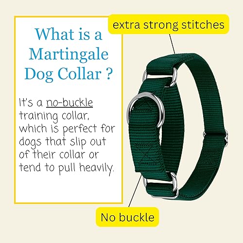 Miniatura 5 de Country Brook - Collar Petz de nailon resistente para perro, color verde, 21 opciones de colores vibrantes (2,5 cm de ancho, L)