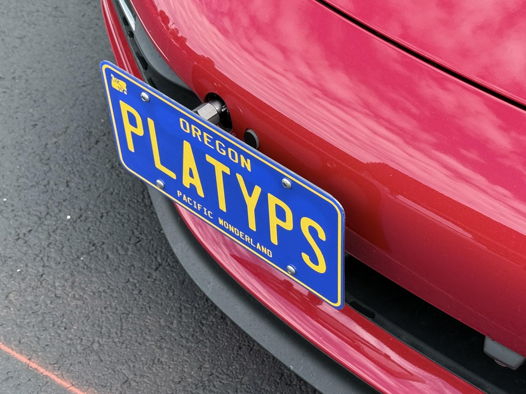 Amazon | CravenSpeed Platypus ナンバープレートマウント ポルシェ911