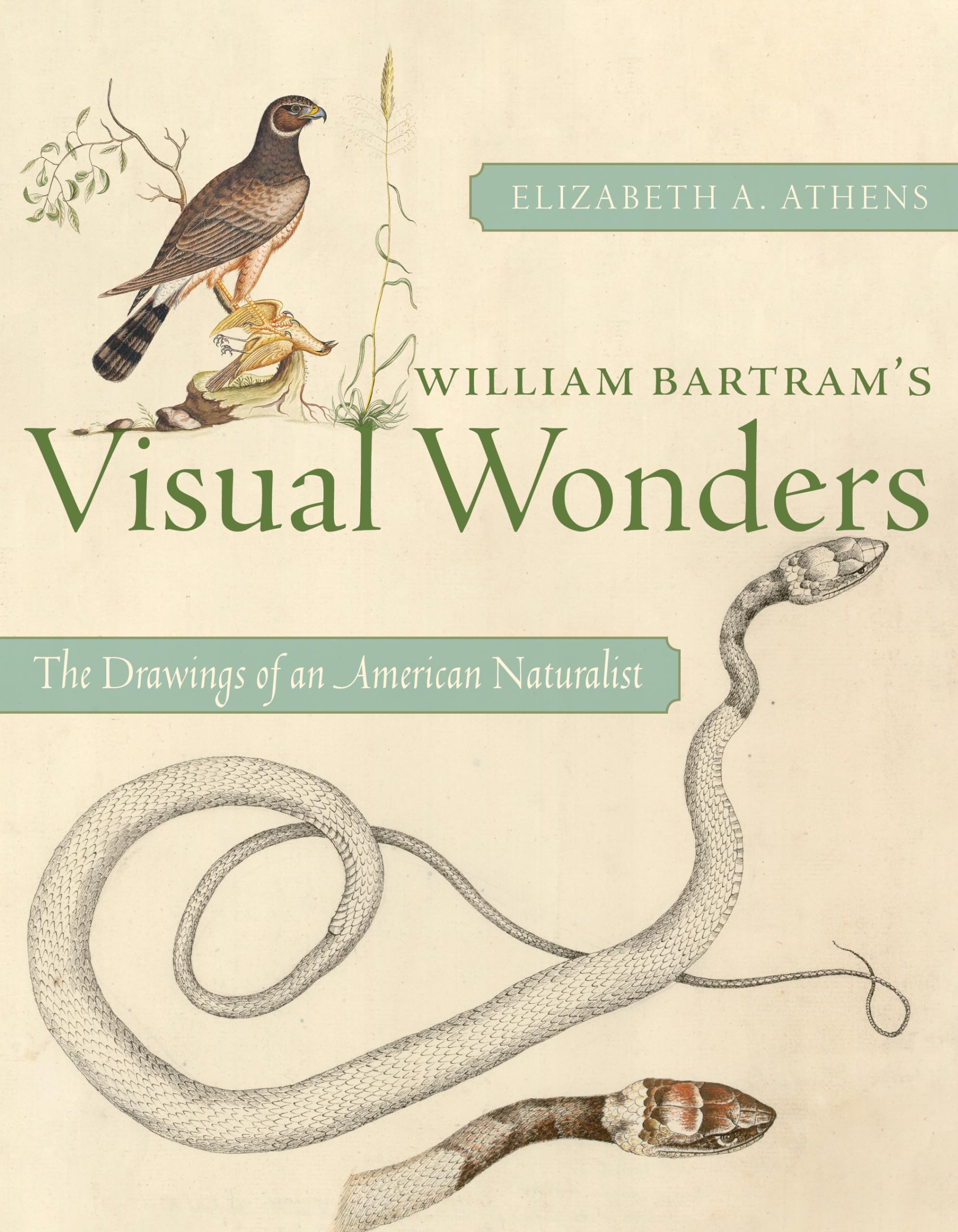 William Bartrams Visual Wonders by Elizabeth A Athens HARDBACK 9780822948261
