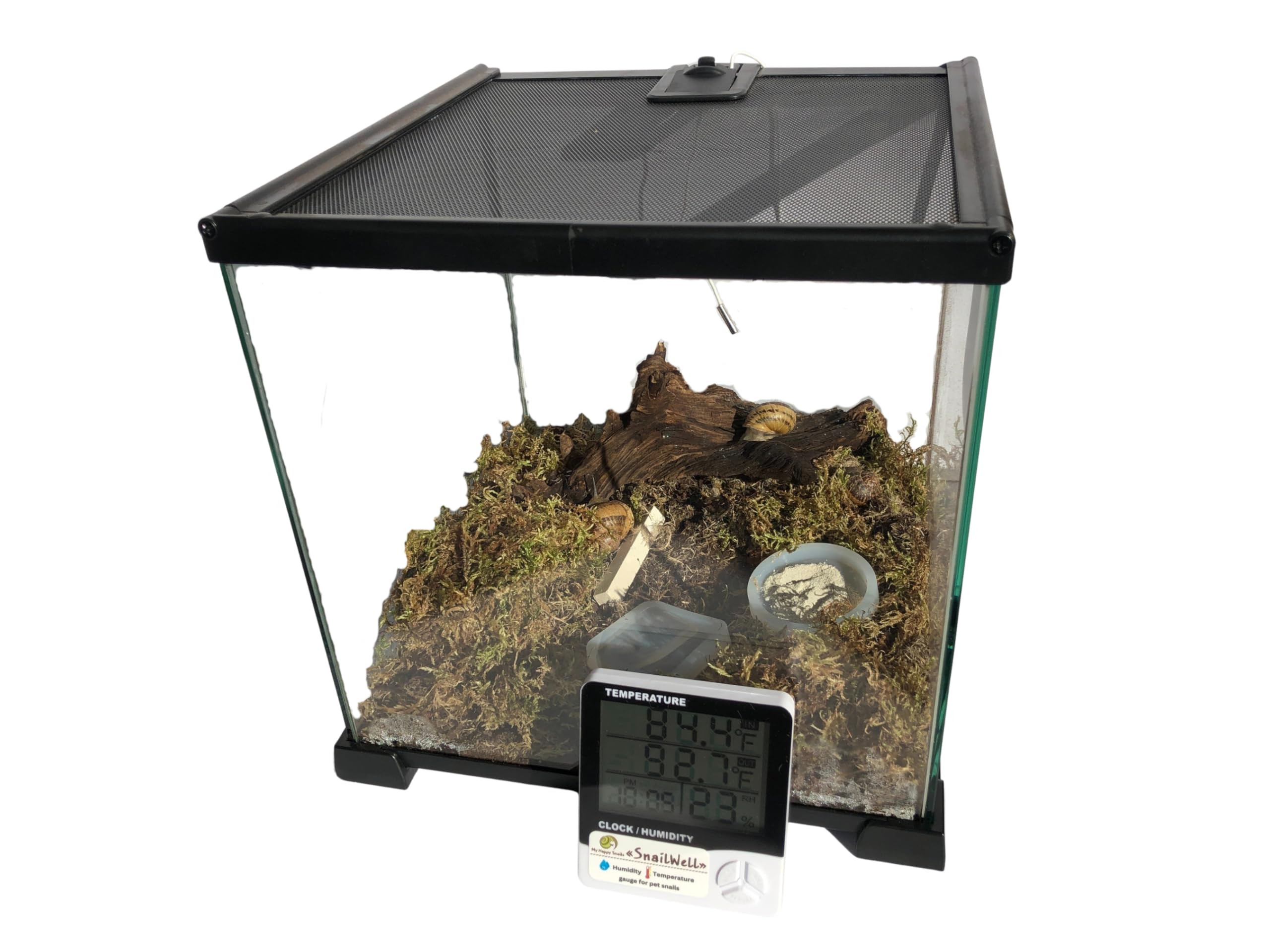 Terrarium Pro Kit – The Ultimate Snail Care Starter Pack for